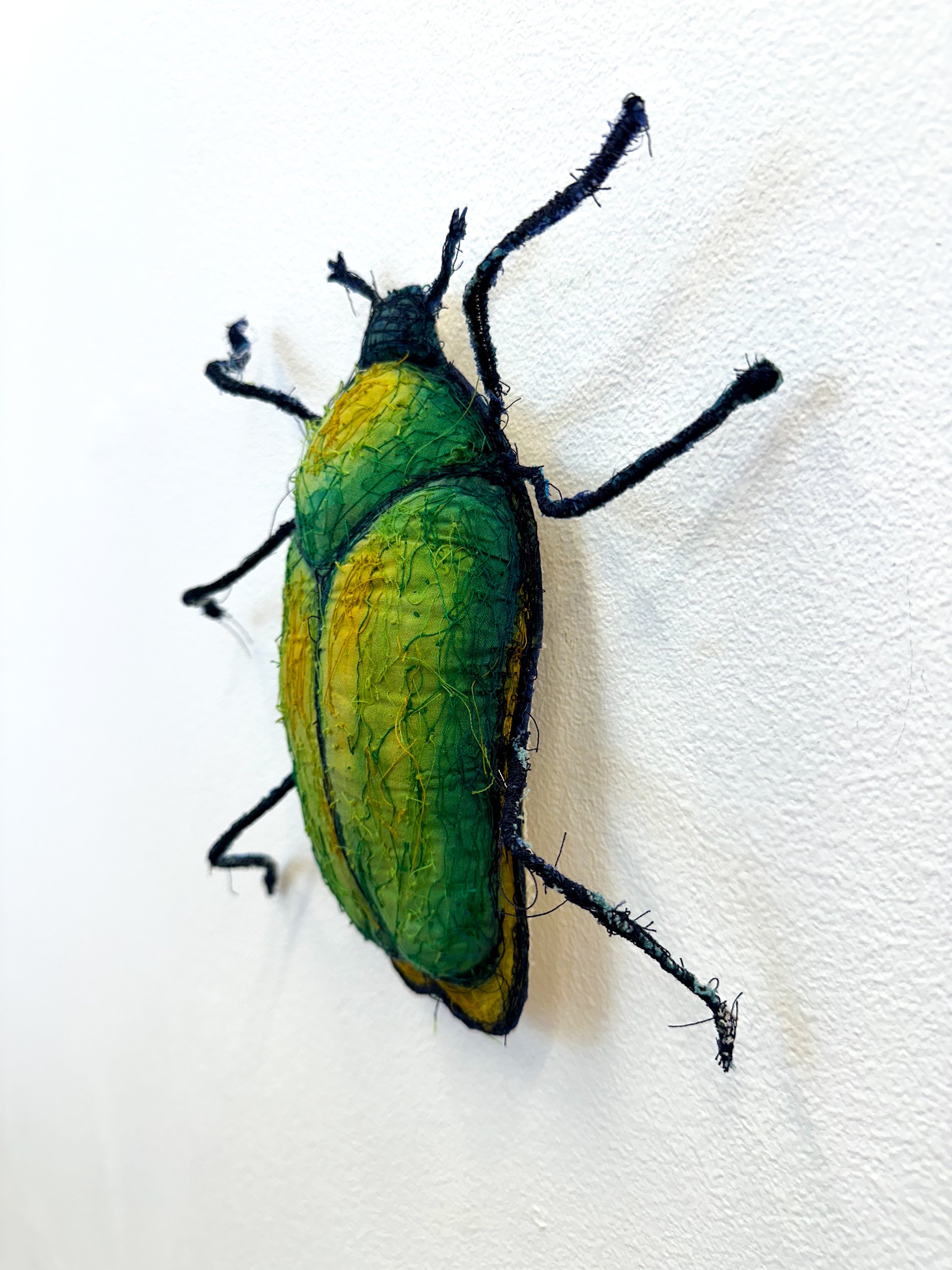 June Bug_Kole_Right.jpg