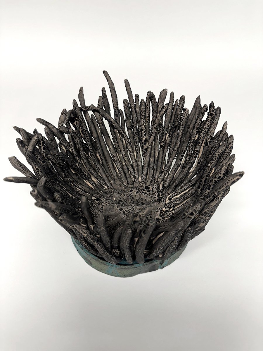 VolcanicPlanetaryFlowers_3a.jpg