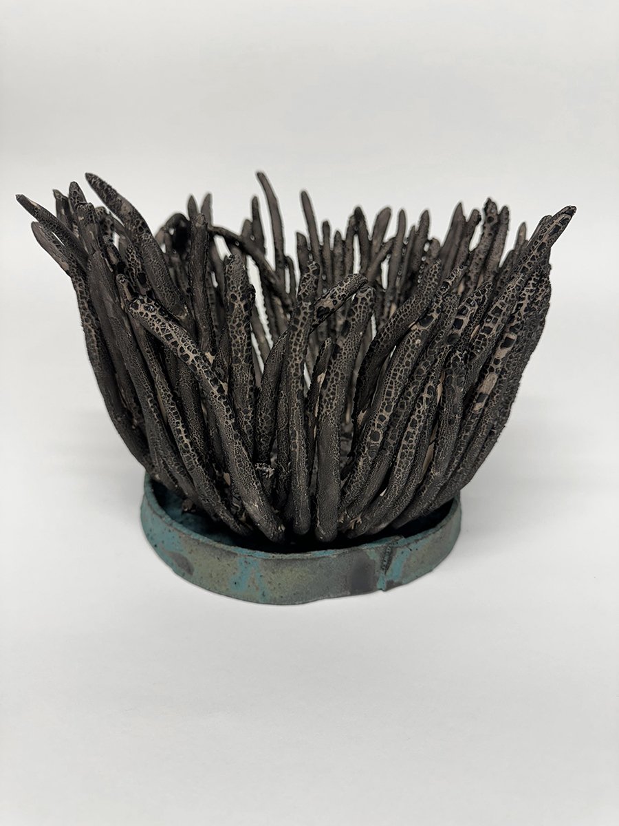 VolcanicPlanetaryFlowers_3b.jpg