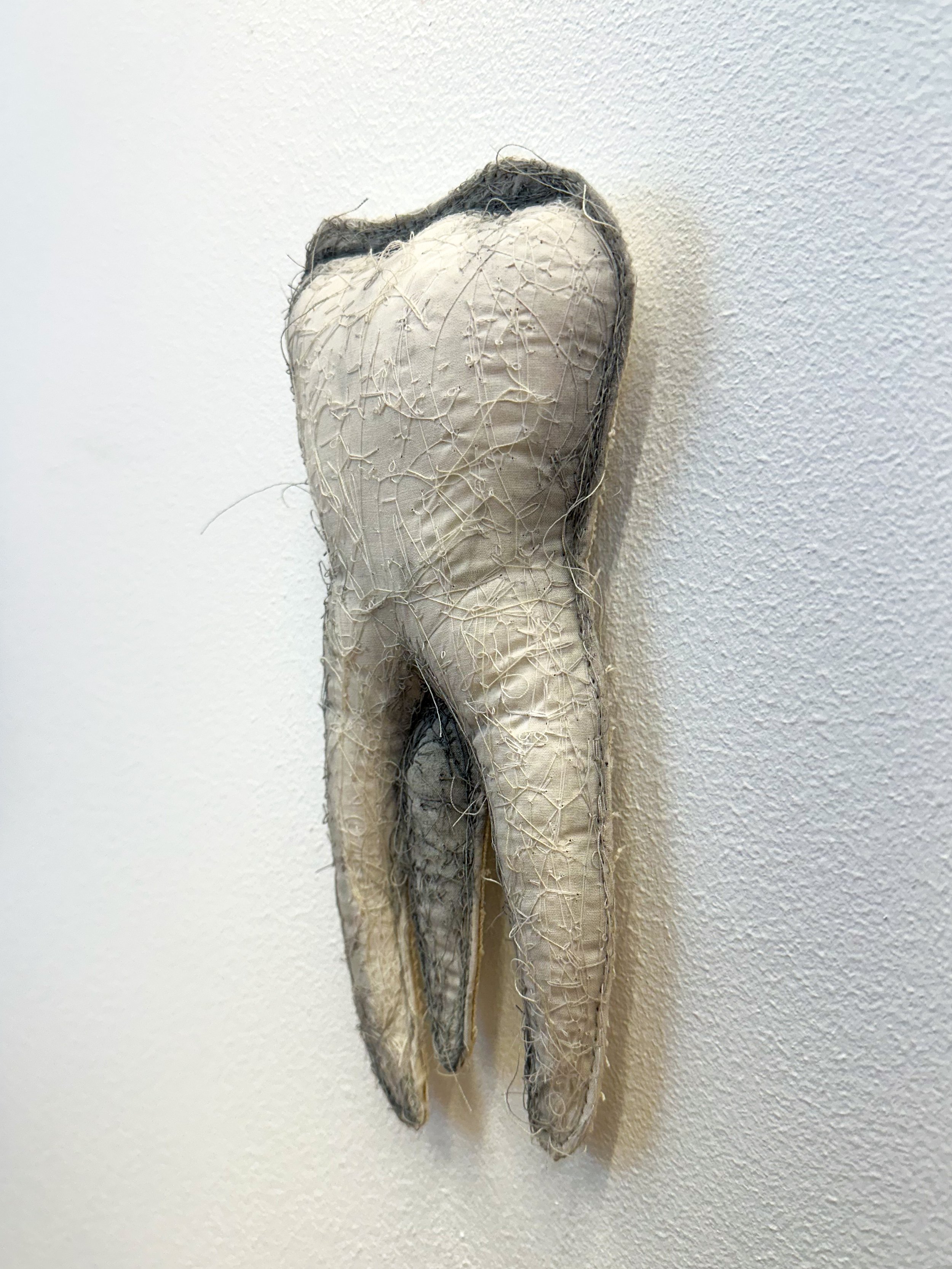 Tooth_Kole_Right.jpg