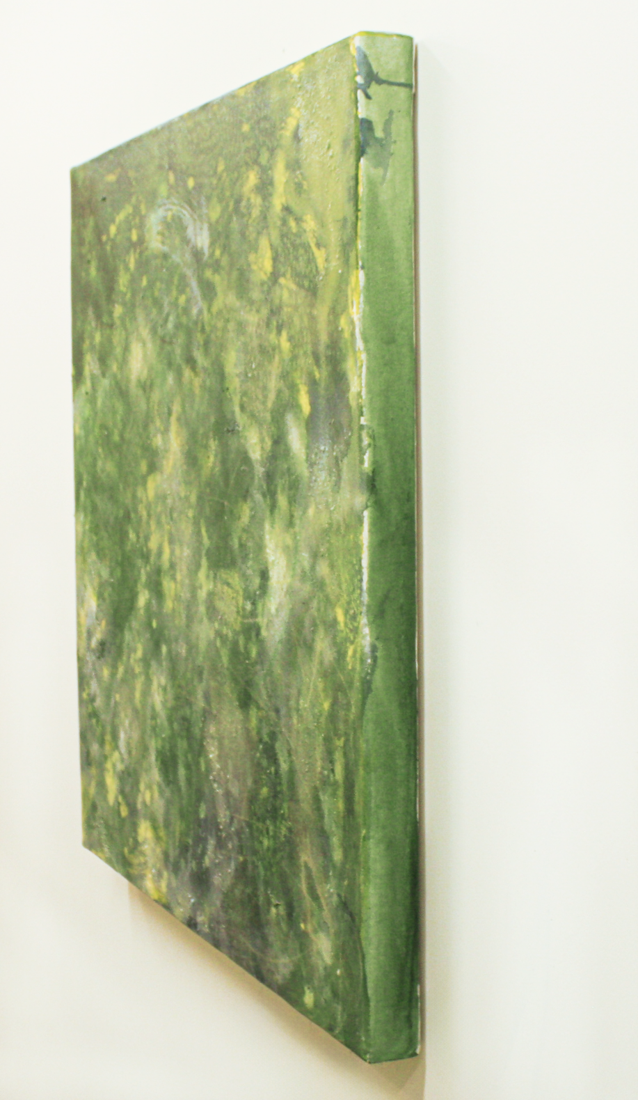 arboreal-side-2.png