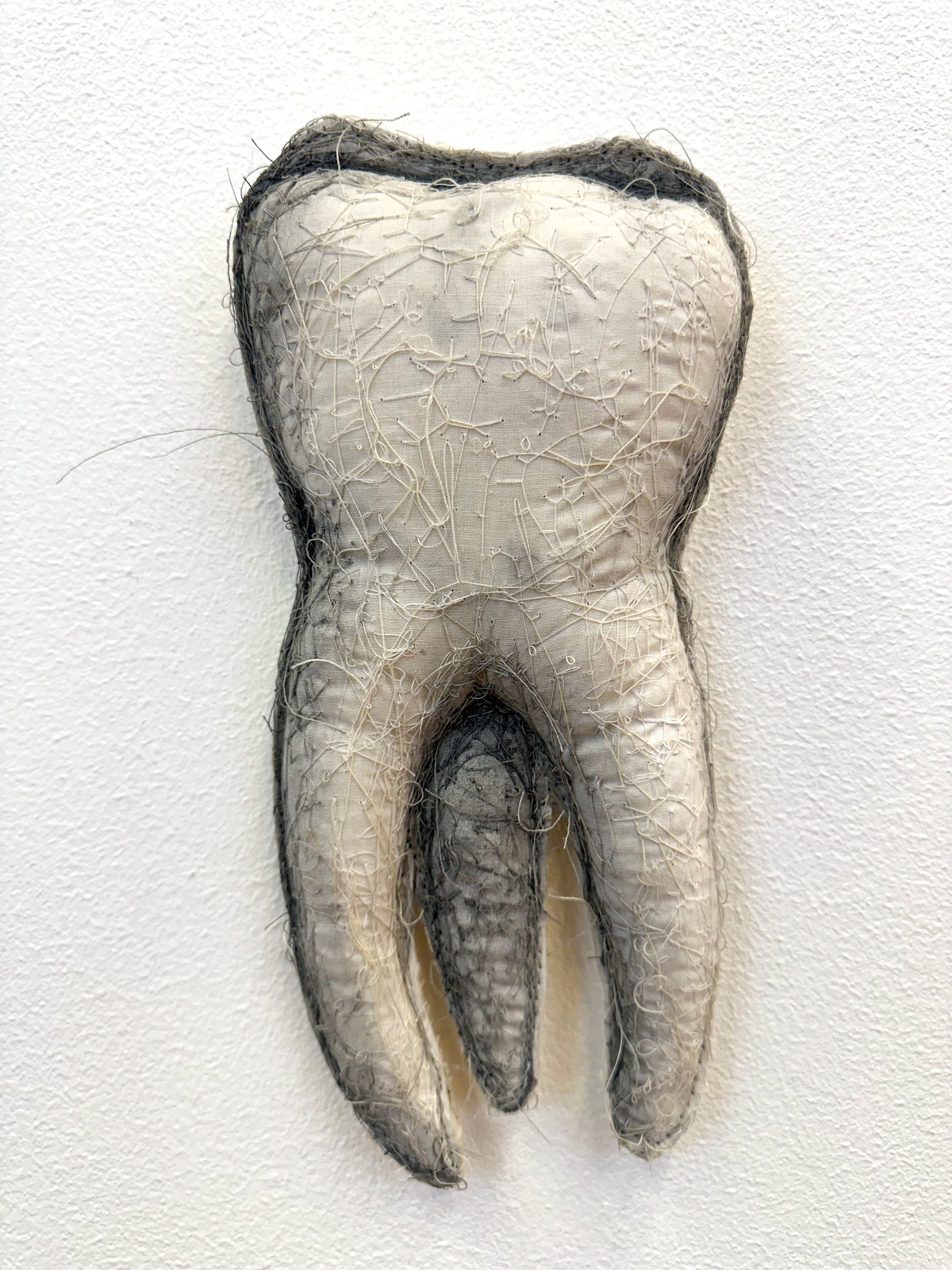 Tooth_Kole_Crop.jpg