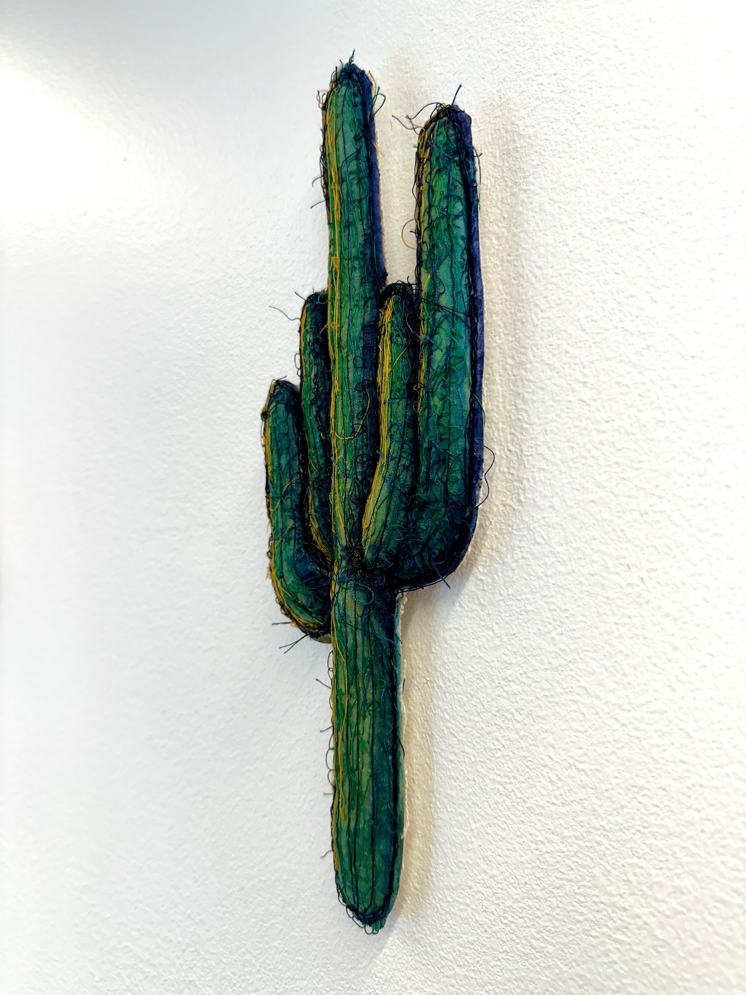 Saguaro_Kole_Right.jpg