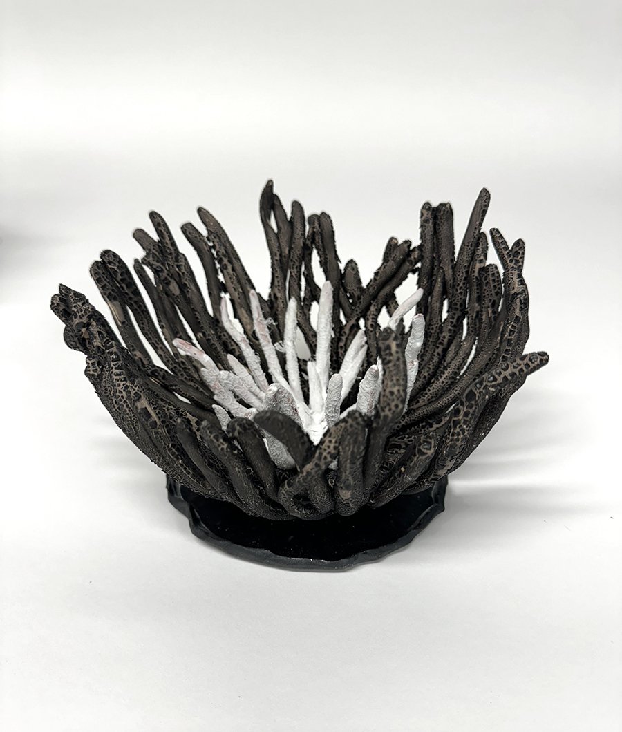 VolcanicPlanetaryFlowers_2a.jpg
