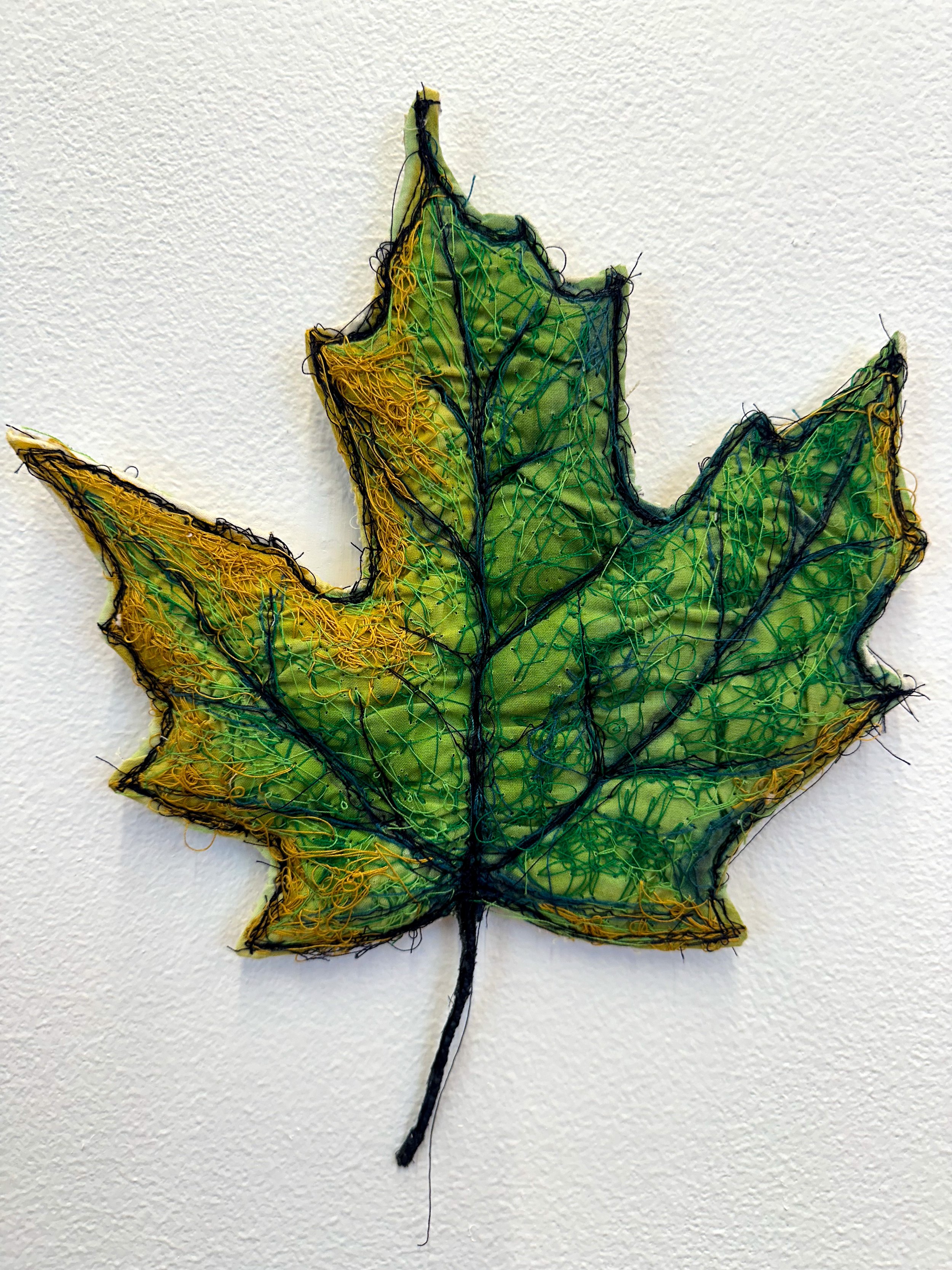 Maple Leaf_Kole_Crop.jpg