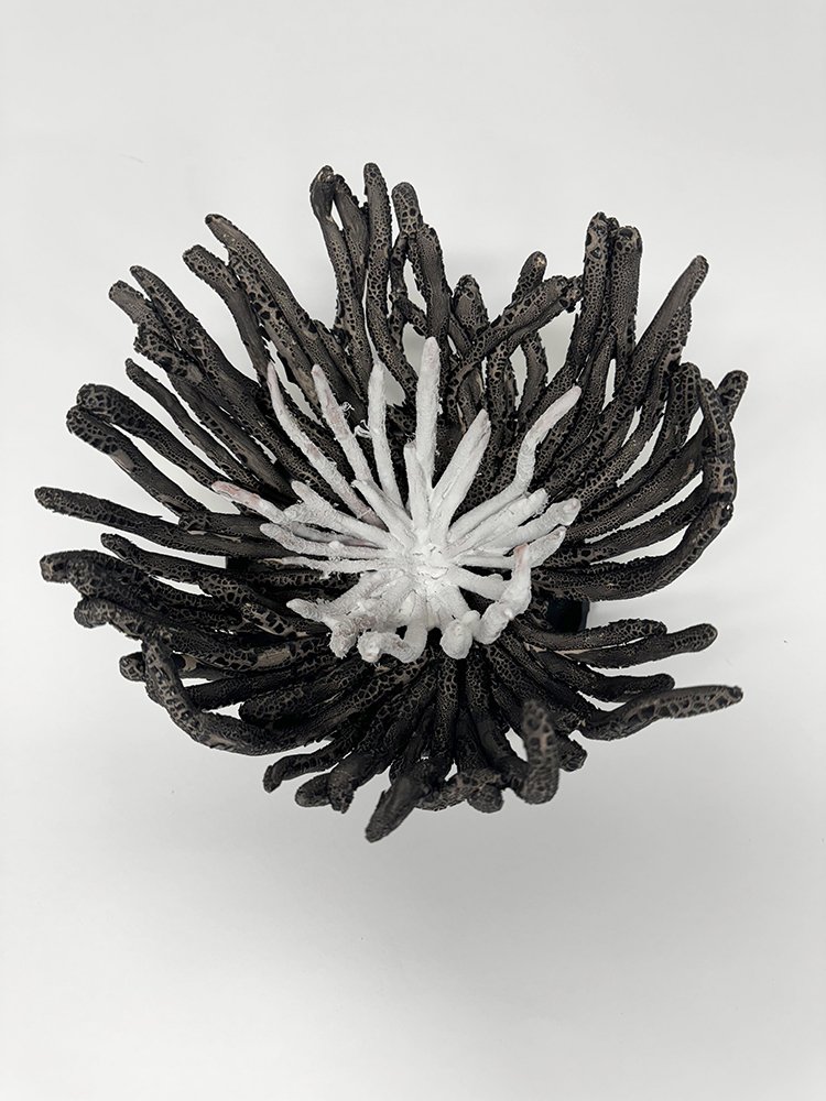 VolcanicPlanetaryFlowers_2b.jpg