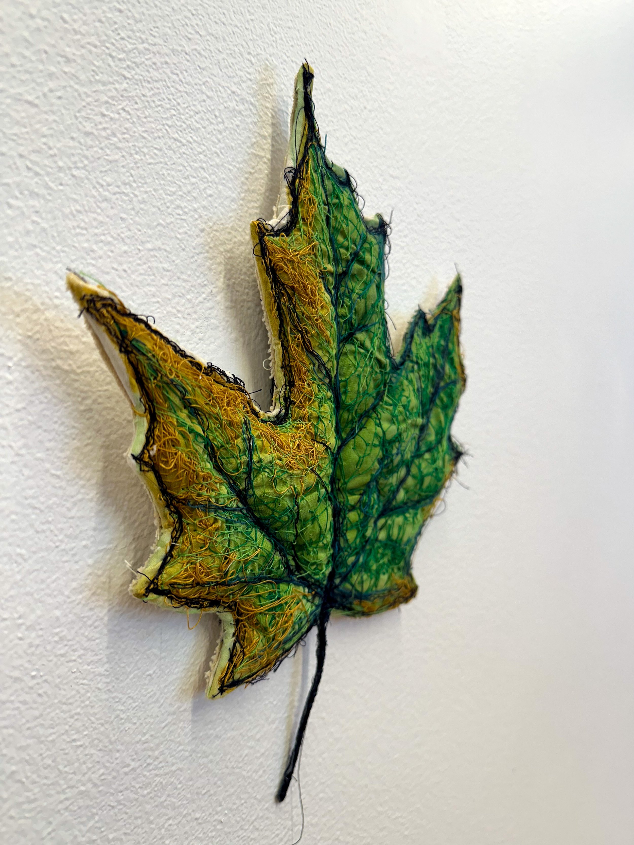 Maple Leaf_Kole_Left.jpg