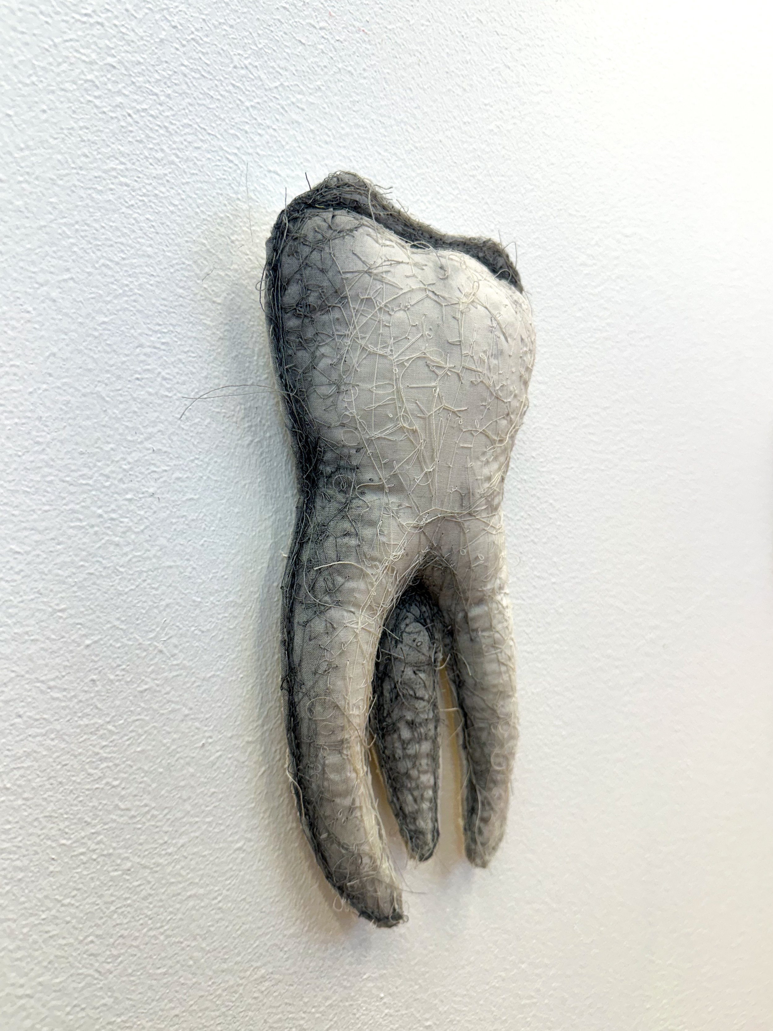 Tooth_Kole_Left.jpg