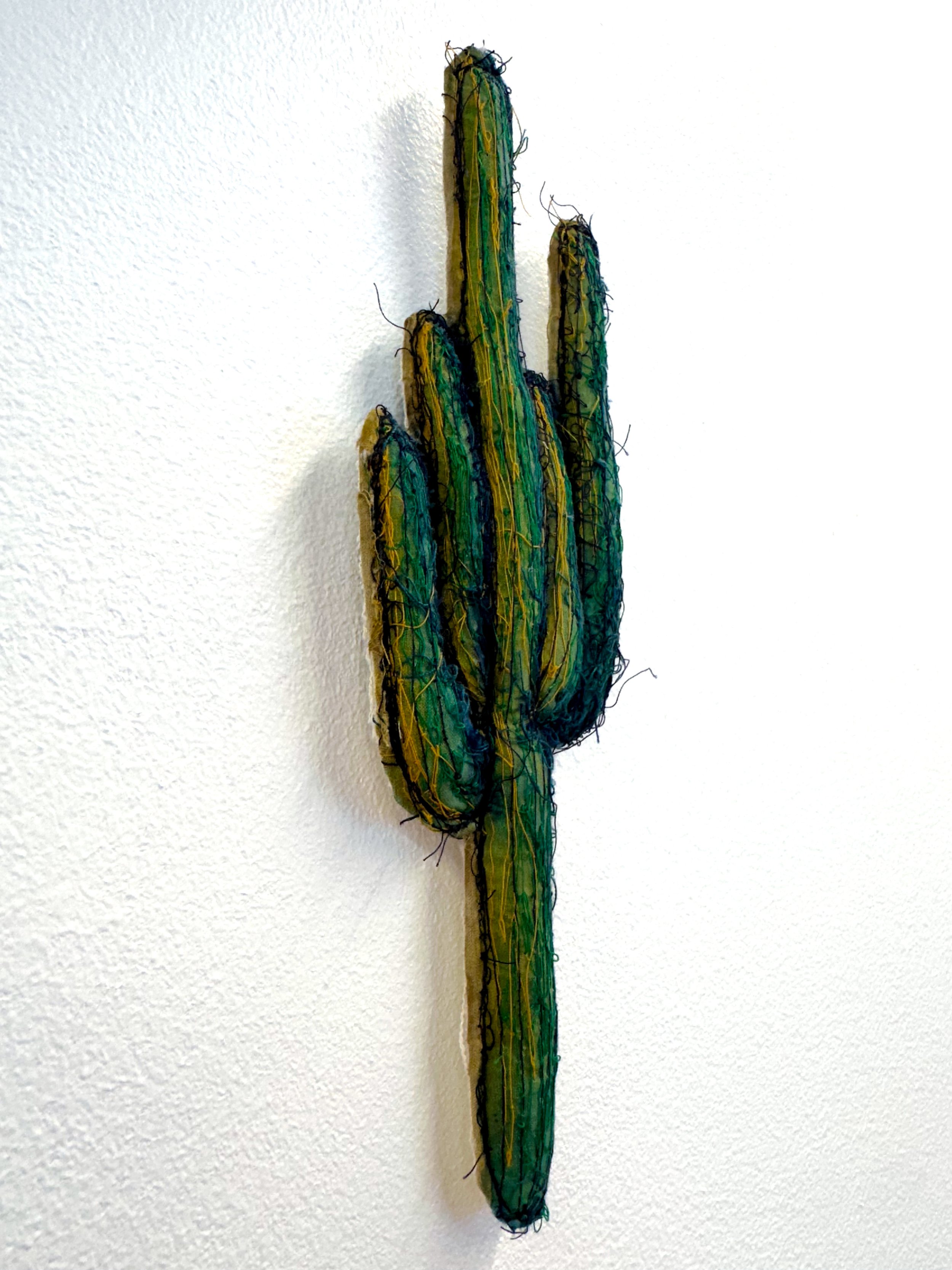Saguaro_Kole_Left.jpg
