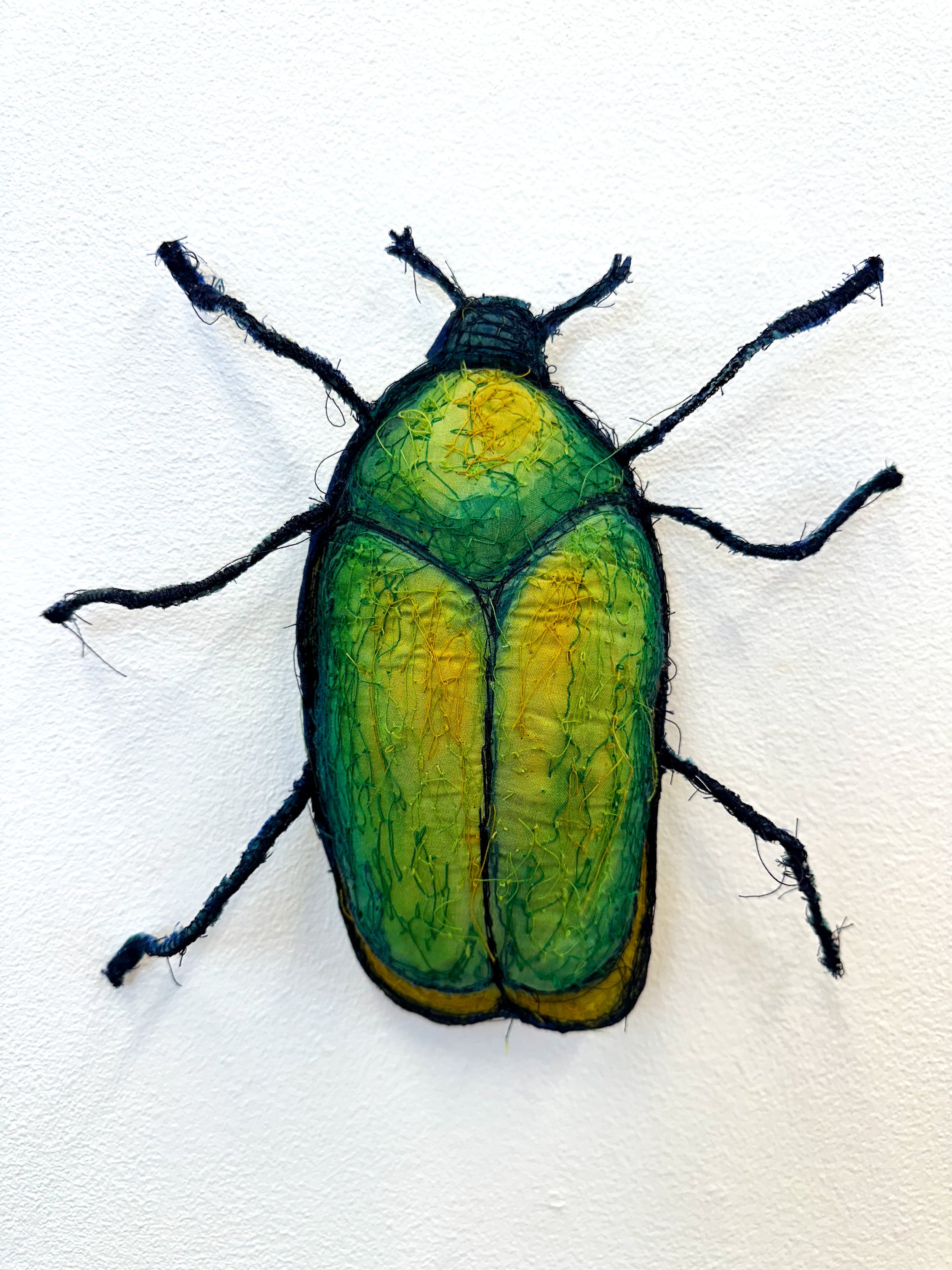 June Bug_Kole_Crop.jpg