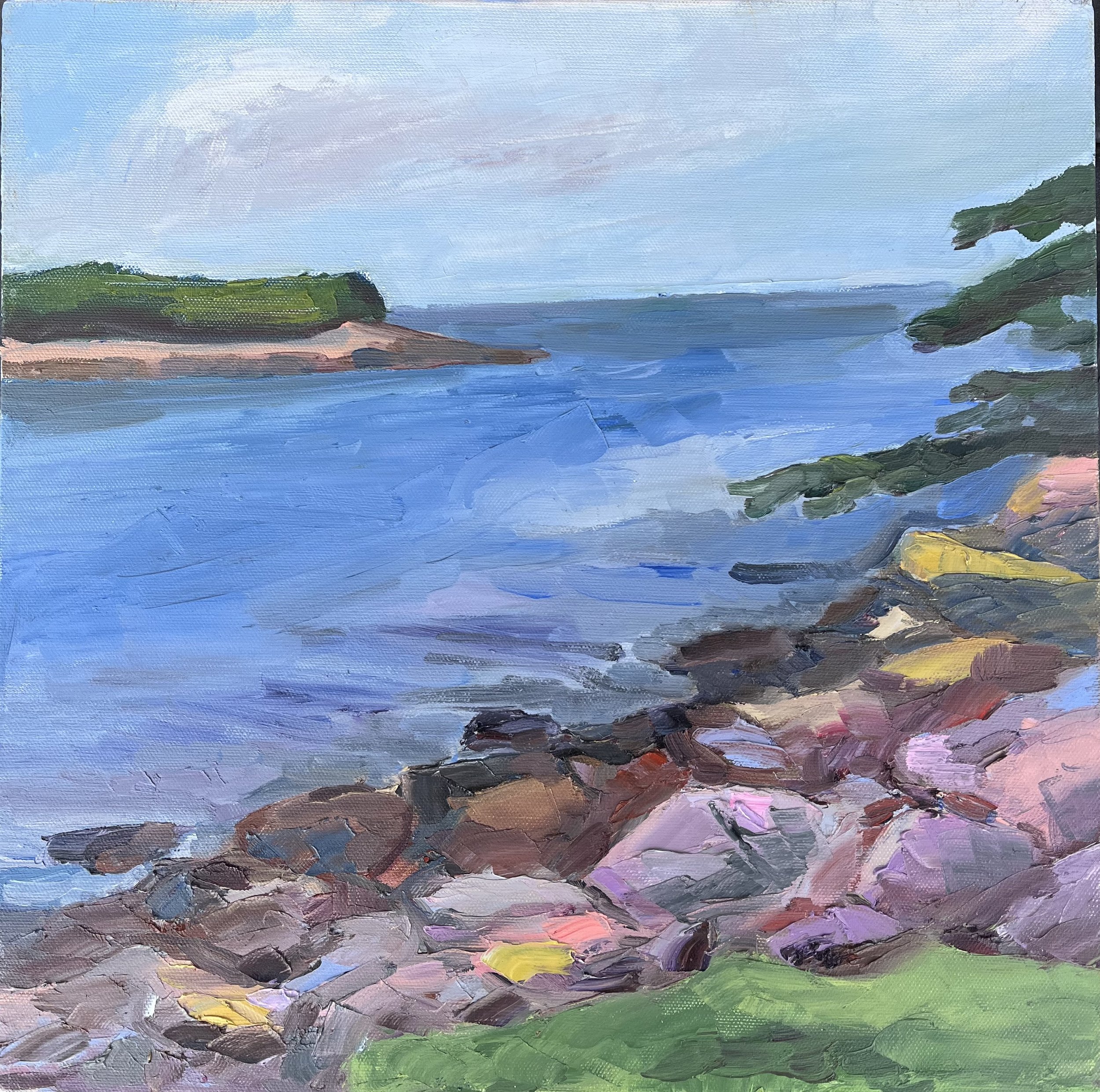 View from Schoodic Peninsula