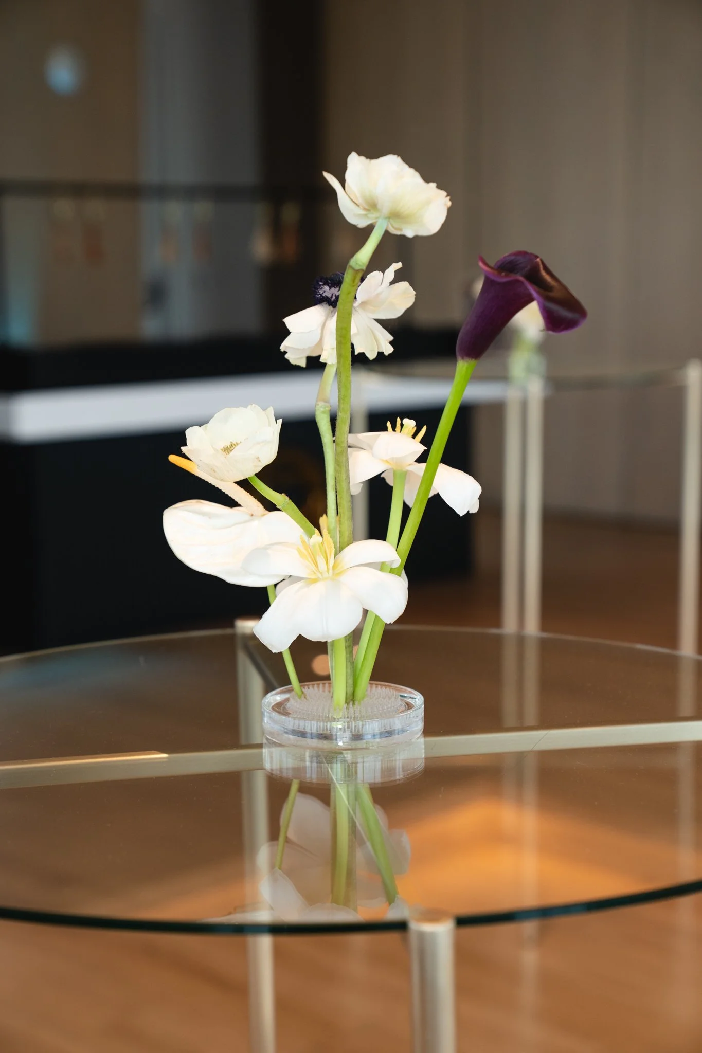260428_L'OrealParis_WL_01082.jpg