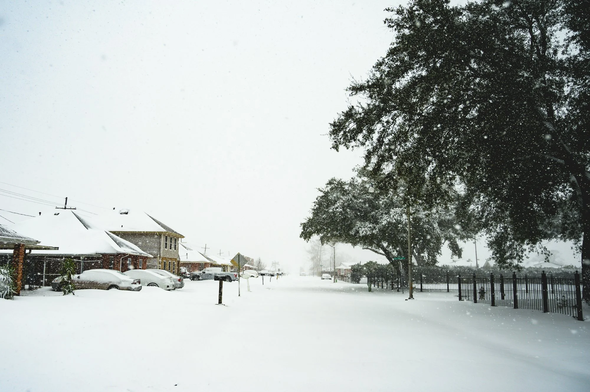 Recapping 2025 in Photos