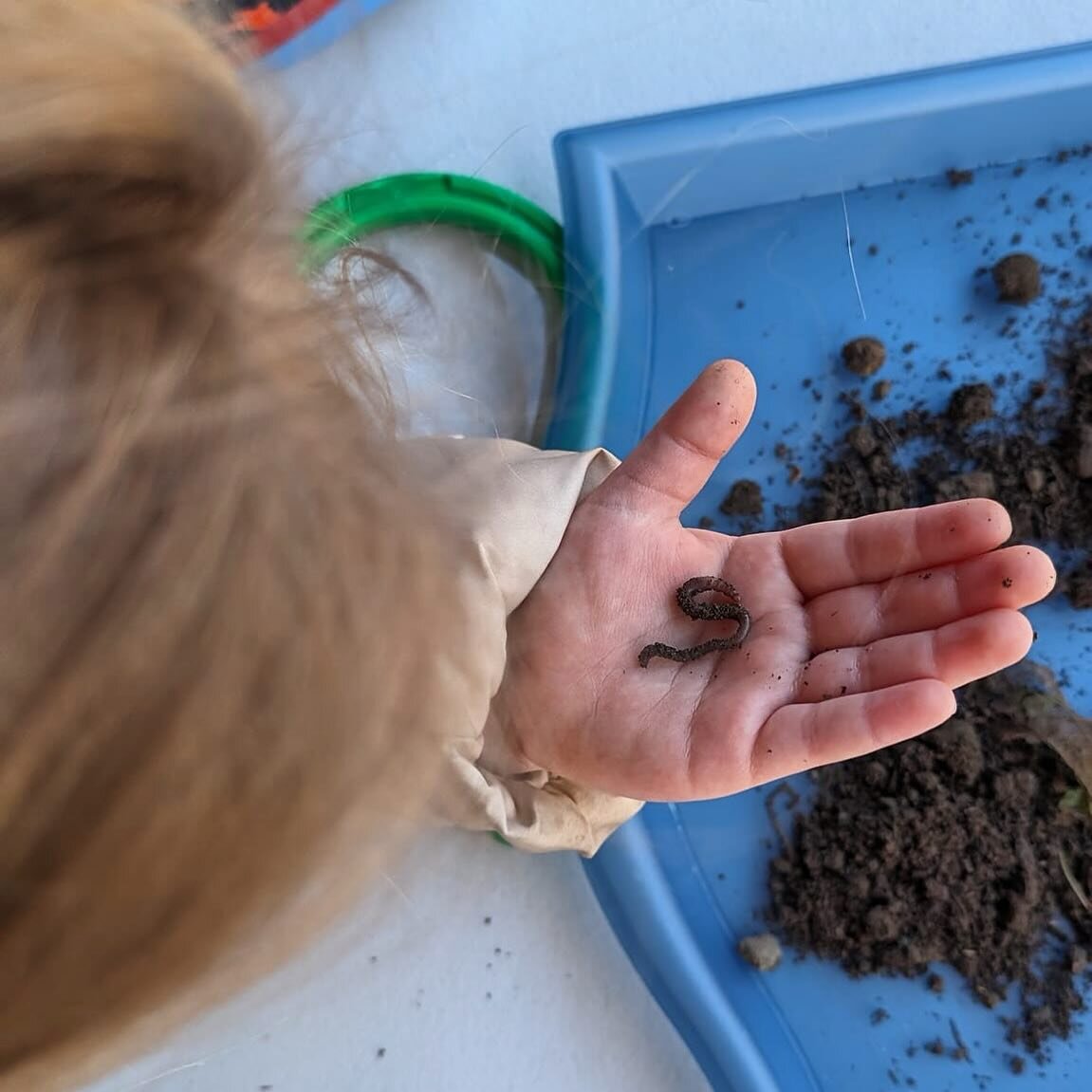 🌱🐛🌷 Dive into the wonders of nature with our little learners! From wriggling worms to the magic of metamorphosis, our classes are buzzing with excitement as we explore the marvels of the natural world. 

Gardening, observing butterflies, and getti