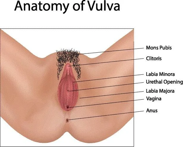 Sex Hurts!!! Part 2- Vulvar skin issues