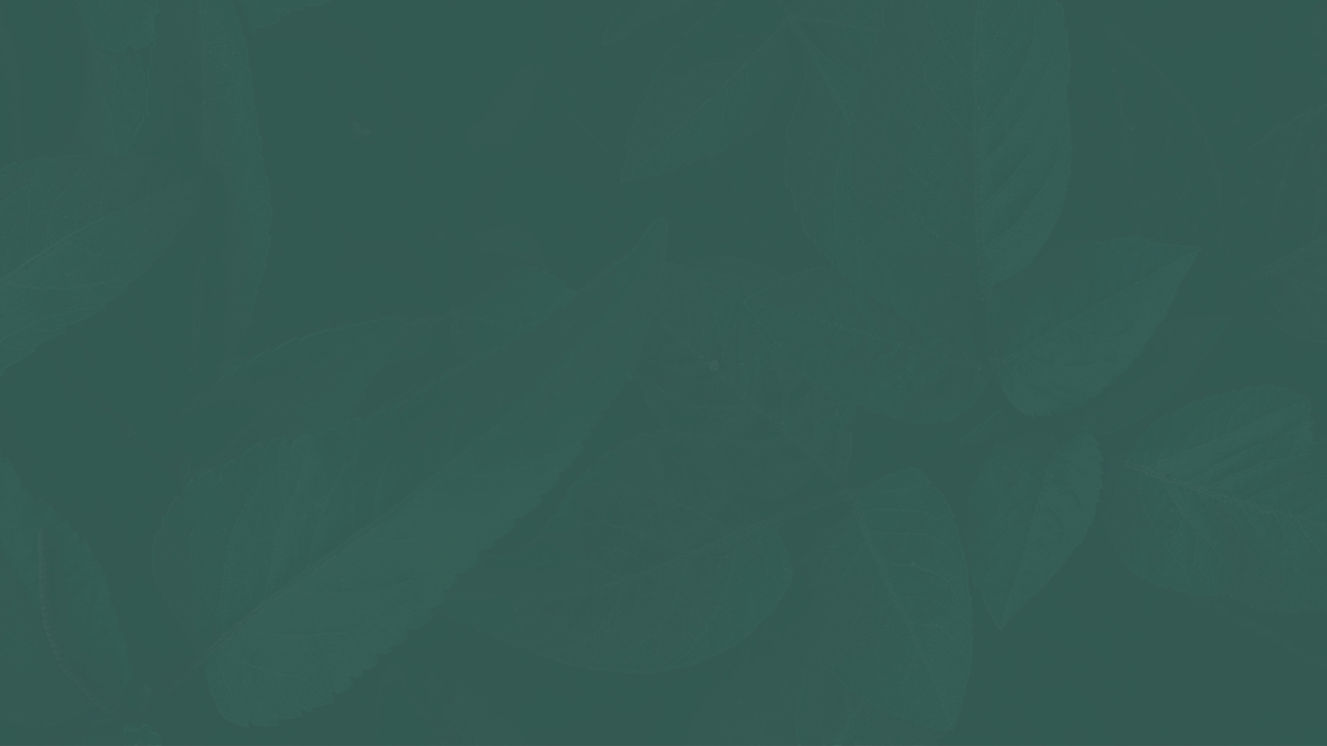 Untitled design-2.png