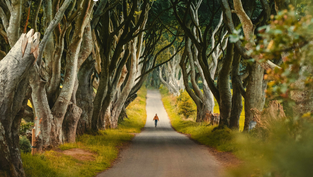 My Journey to Purpose