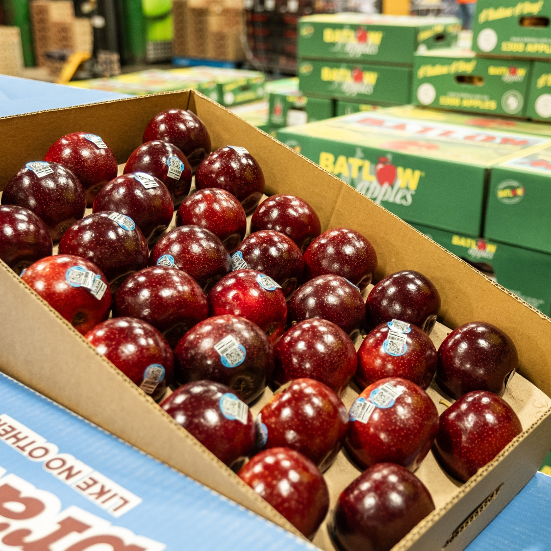 The Ifresh Experience: Unveiling the Origin of Your Fresh Australian ...