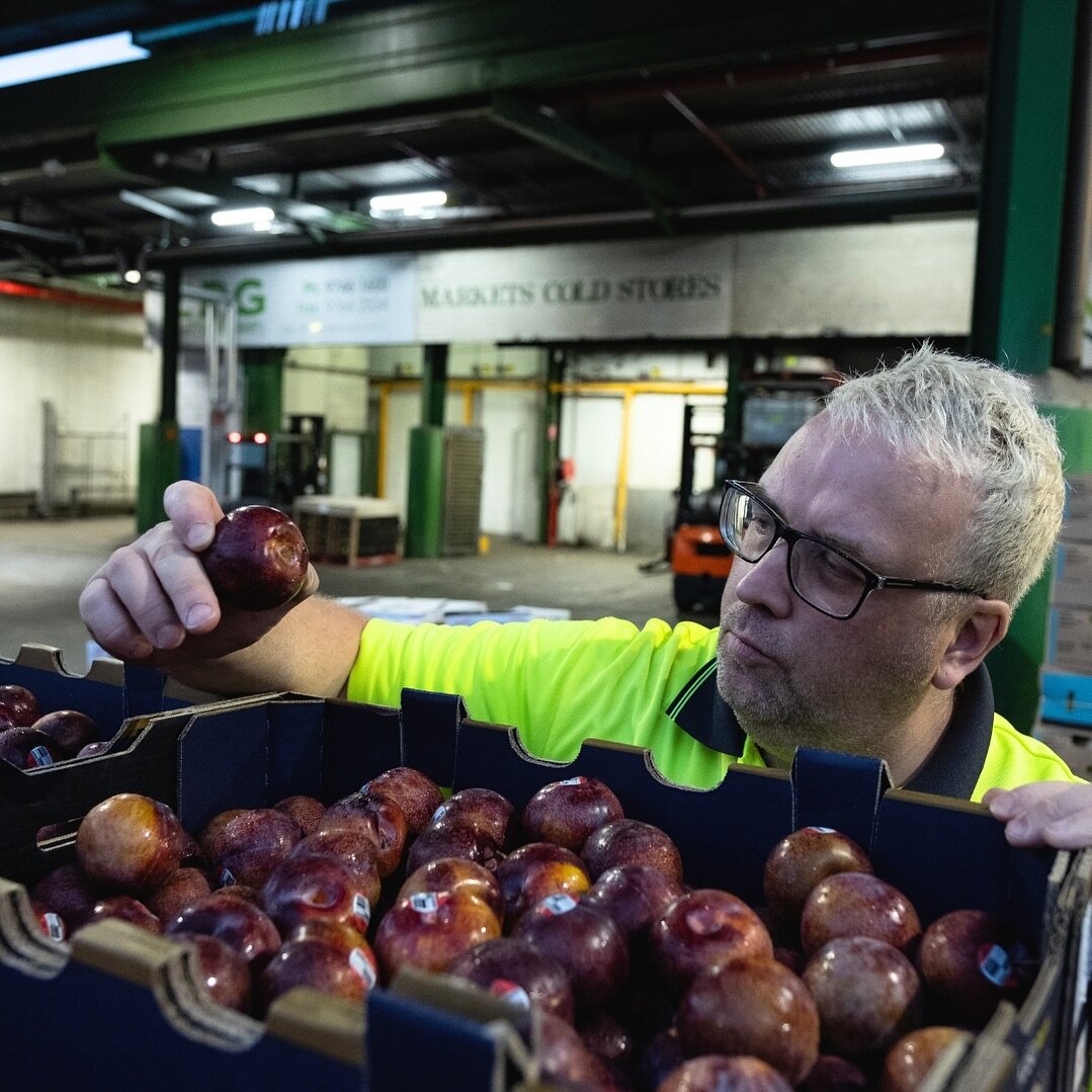 At Ifresh, quality is our top priority! 

We go above and beyond to ensure that every piece of fresh produce we deliver meets the highest standards. From the moment it arrives at our warehouse to the moment it reaches your workplace, our dedicated te