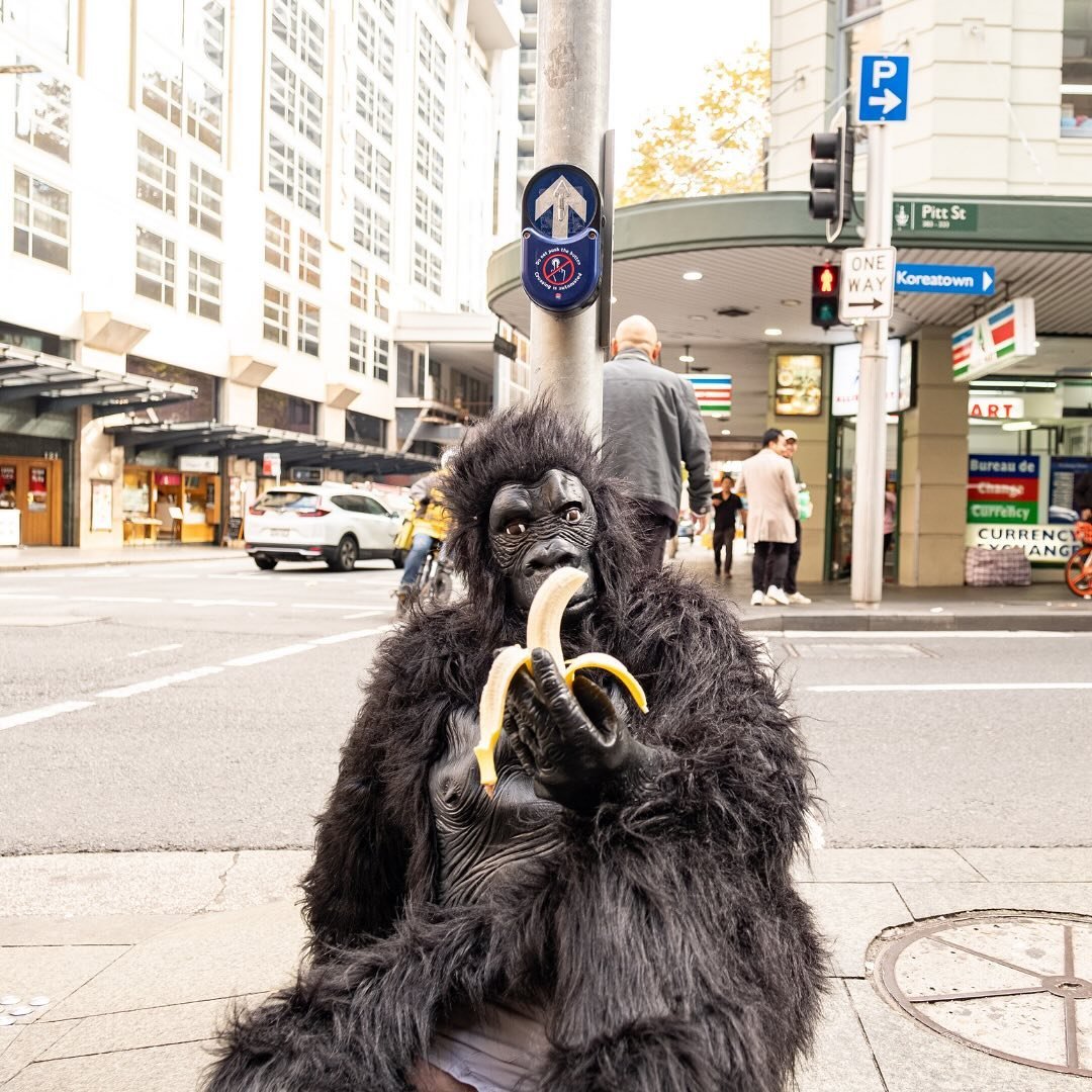 Happy #NationalBananaDay 🍌🍌🍌

We&rsquo;re throwing it back to when the Ifresh team took to the streets of the Sydney CBD to hand out Bananas in celebration of Australia&rsquo;s most popular fruit. 

Did you know that Australian&rsquo;s munch throu