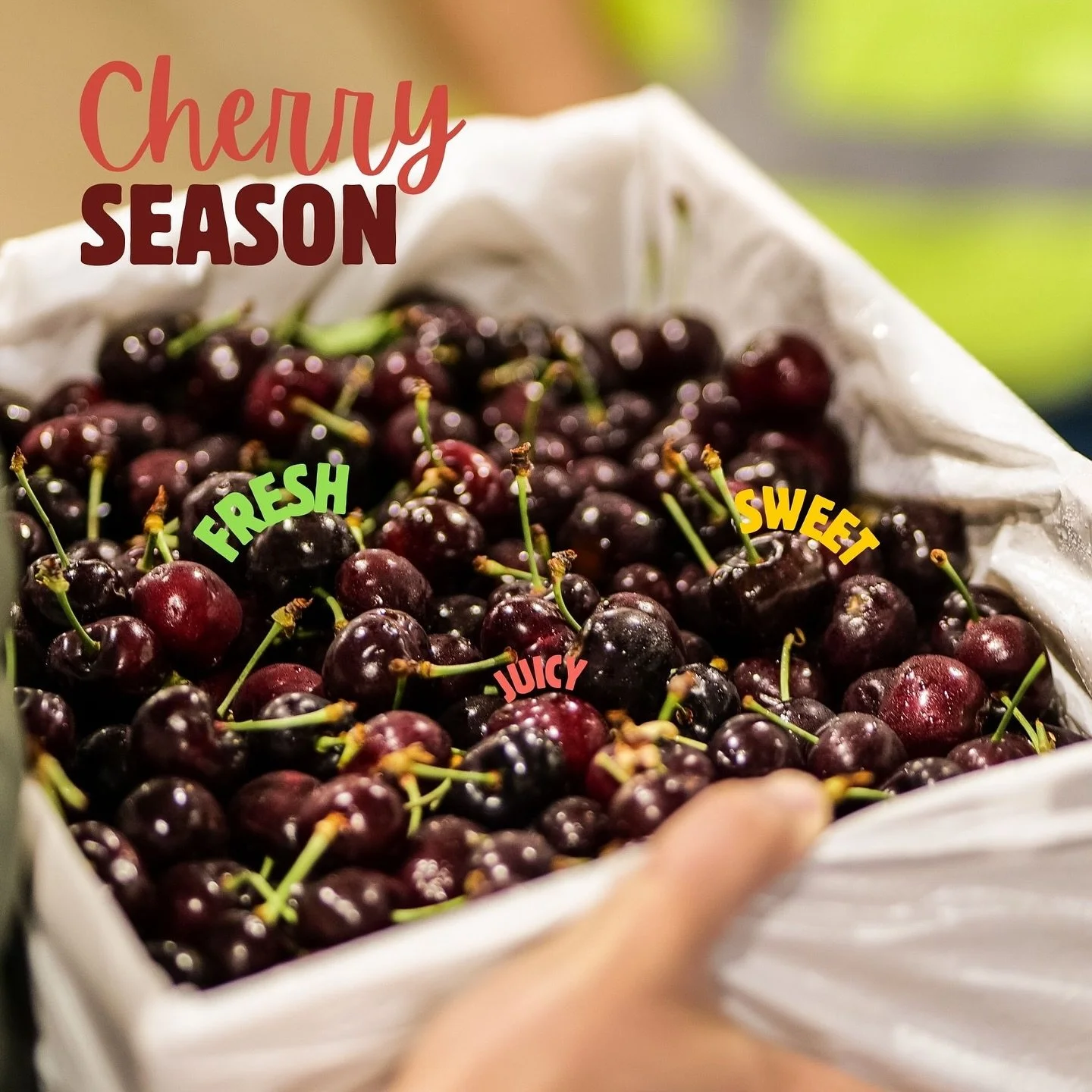 🍒 Cherry season is here! 🍒 Fresh, juicy, and irresistibly sweet, our cherries are now available for custom order and ready to be delivered straight to your workplace. Don&rsquo;t miss out on this seasonal favourite&mdash;perfect for a healthy offic