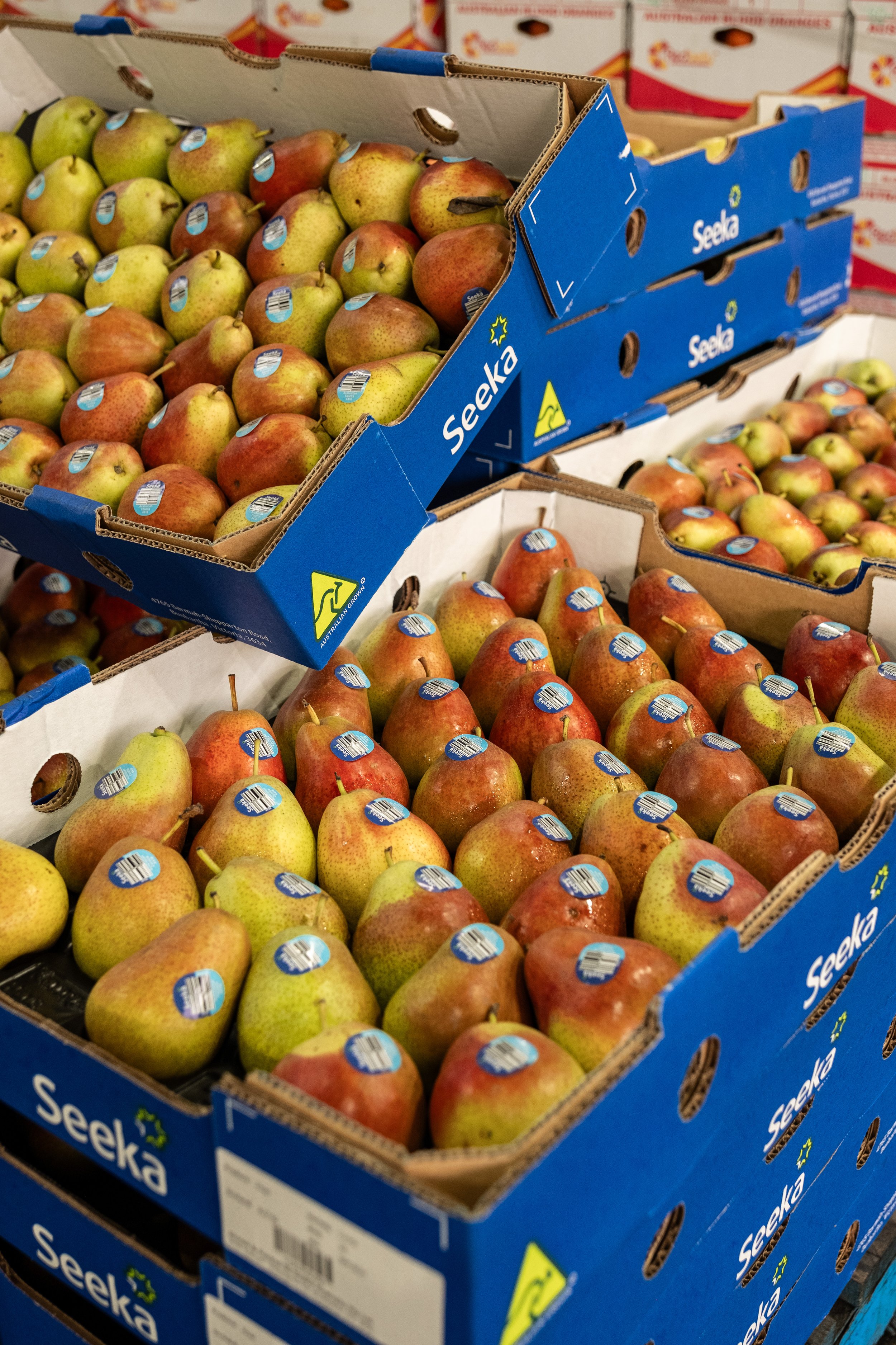 Benefits of Having Fresh Fruit Delivered to Your Office — Ifresh ...