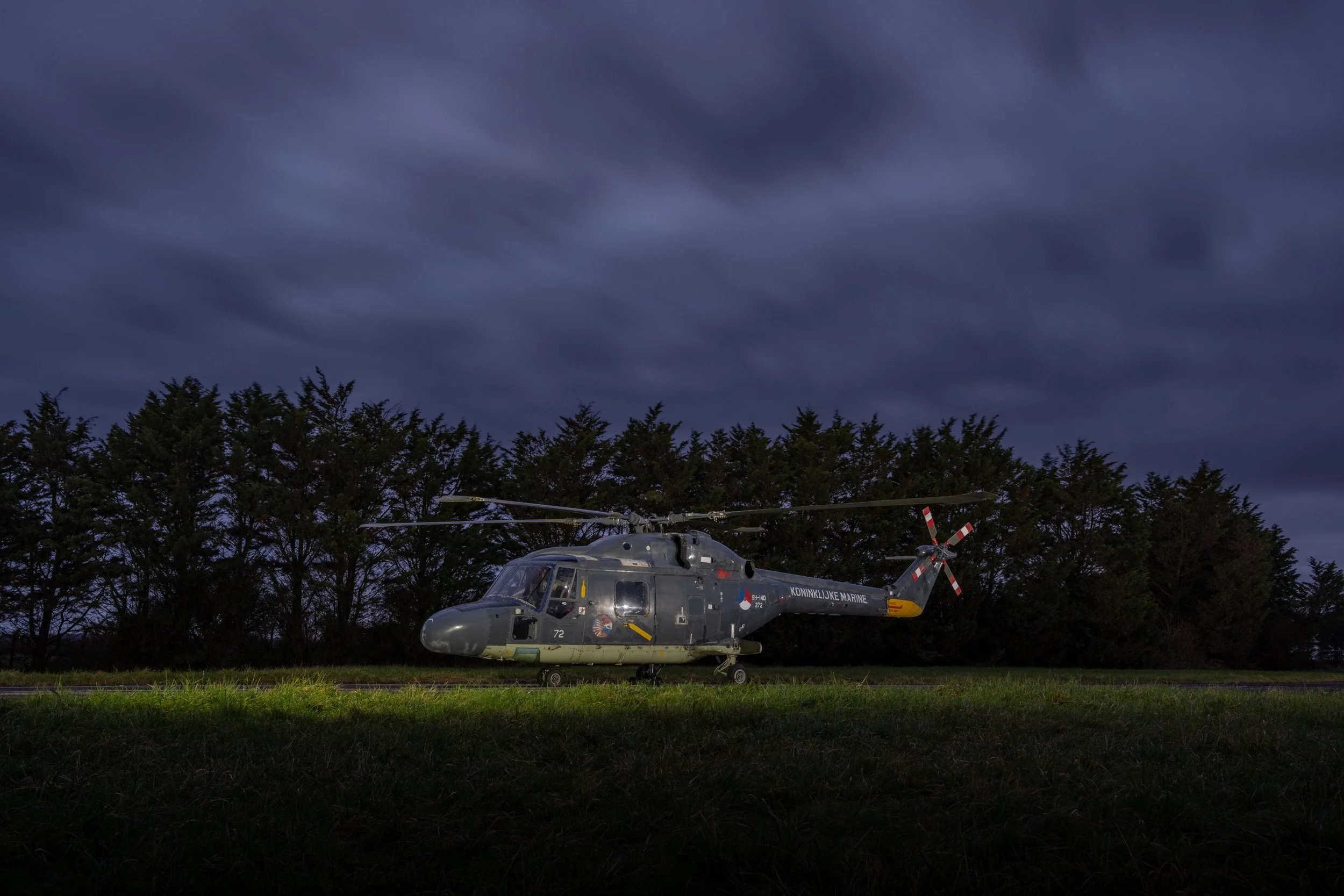 SWAM_Nightshoot_2023_Lynx.jpg