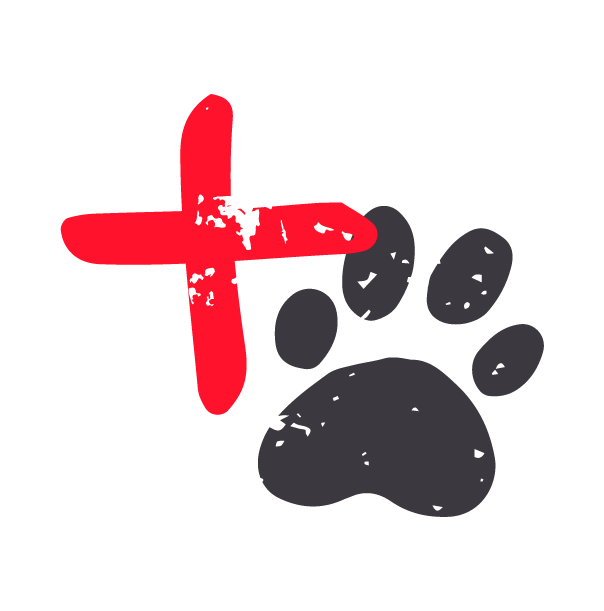 Vetting for One Dog