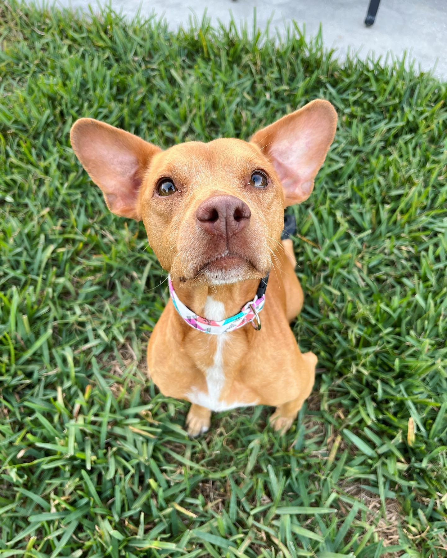 Meet Mable