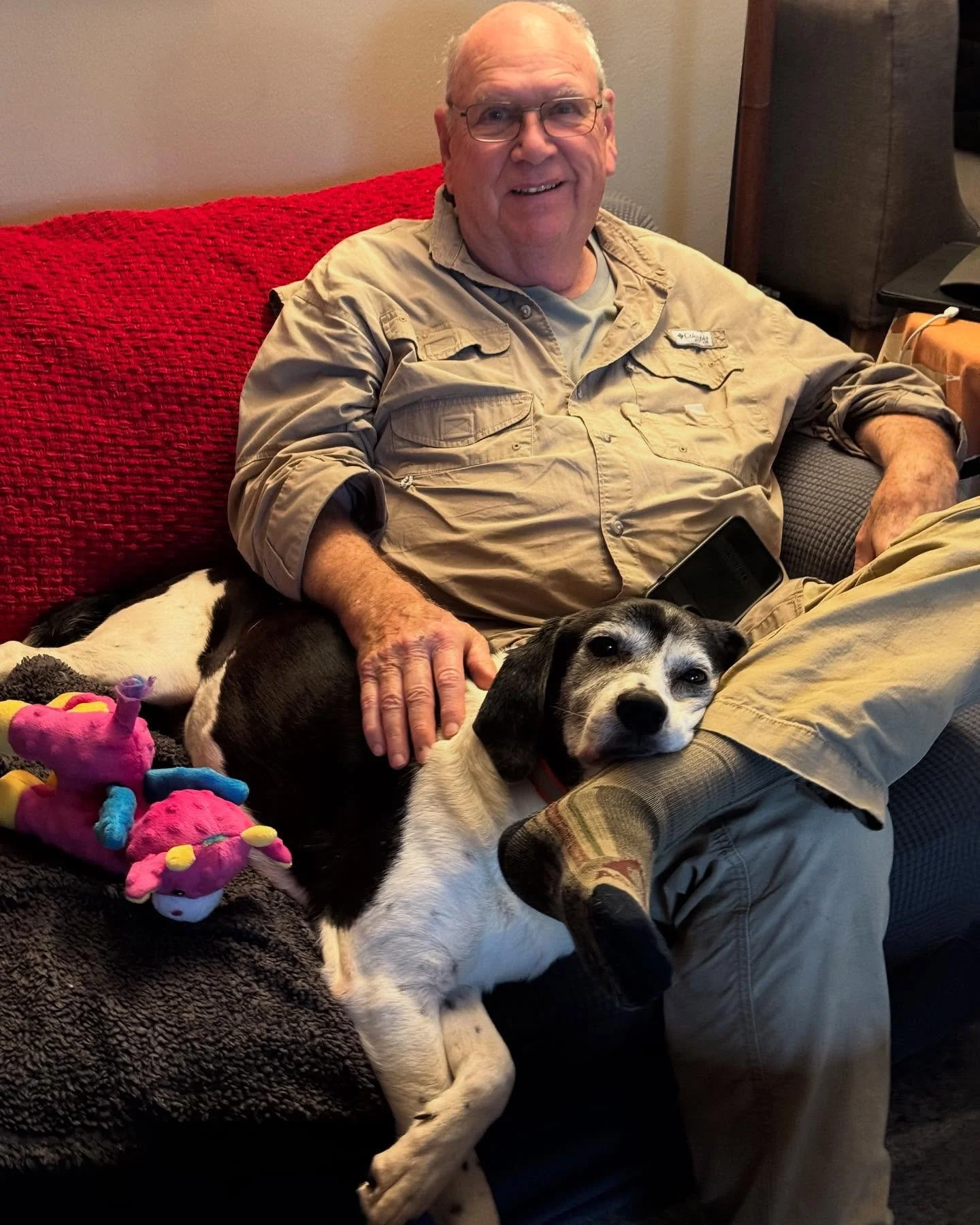 Reba, now Saison is living the retired life of her dreams. 😍

Saison was found as a stray with a registered microchip - she had gotten out, and while lost her owner had unfortunately passed away. Saison was already in our care by the time we heard b