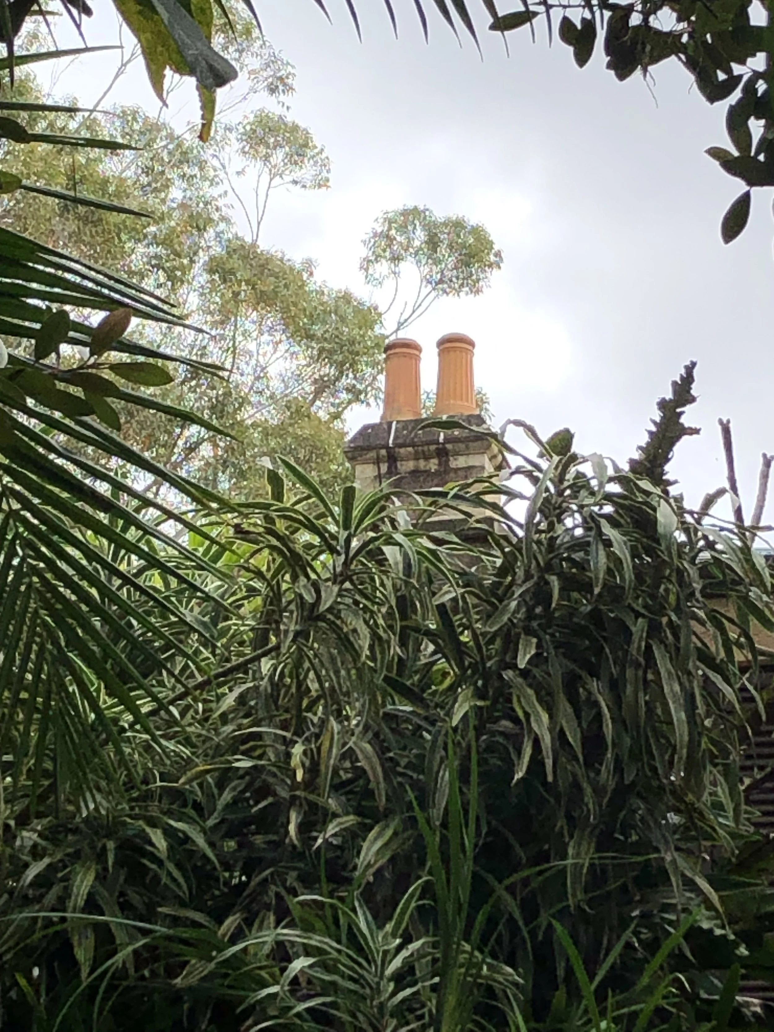 Events Carisbrook Historic House Lane Cove, NSW — Carisbrook