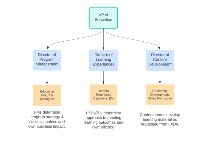 customer education team hierarchy