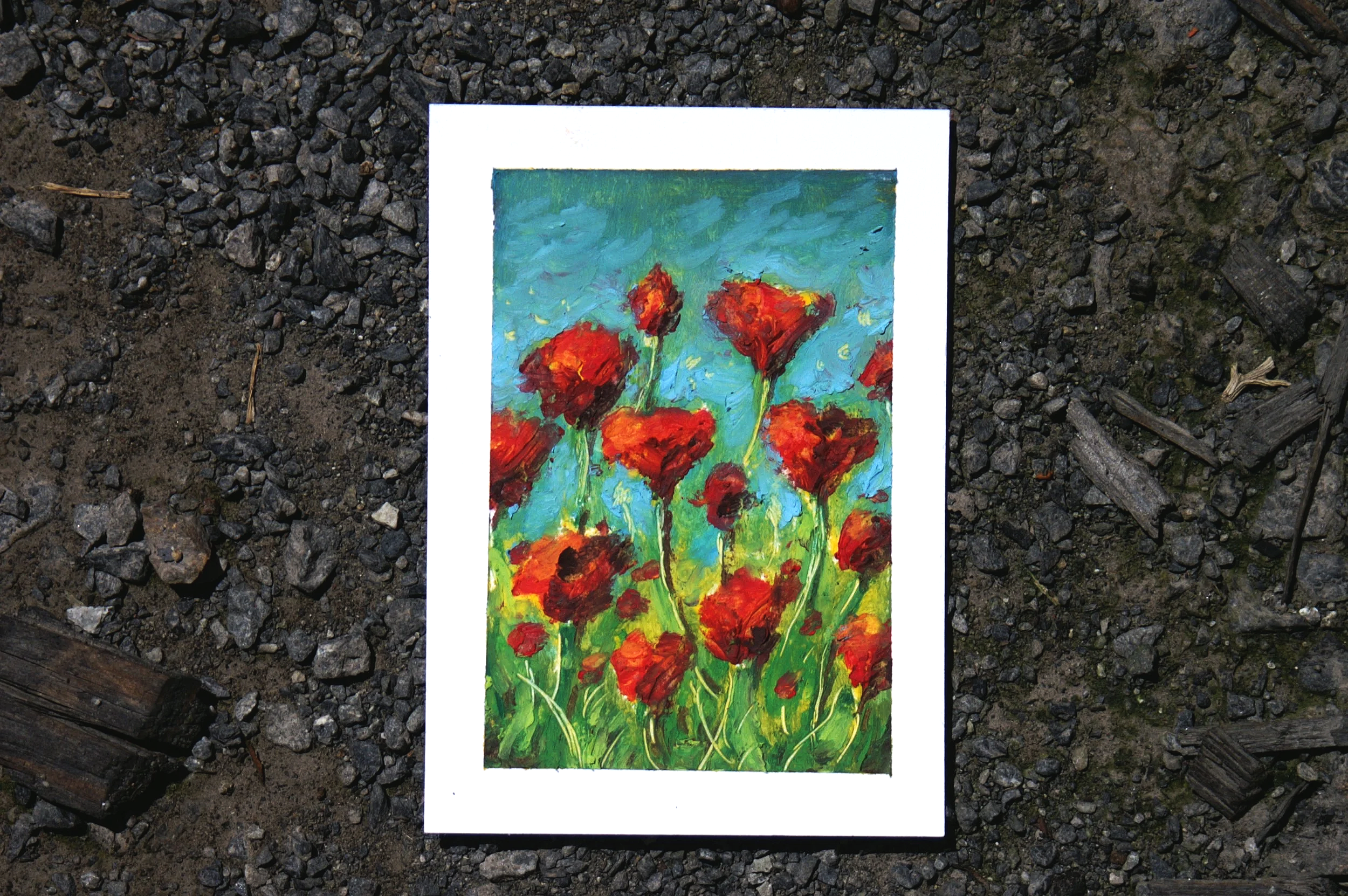 Red Poppies ACEO