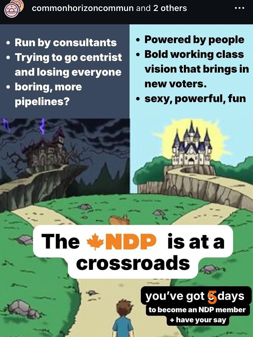 Sure would be nice to have a SEXY POWERFUL leftist electoral option instead of a boring pipeline-y one&hellip; 👀

If you want to vote in the upcoming NDP leadership race, you have to become a member by January 28th! Swipe for details.