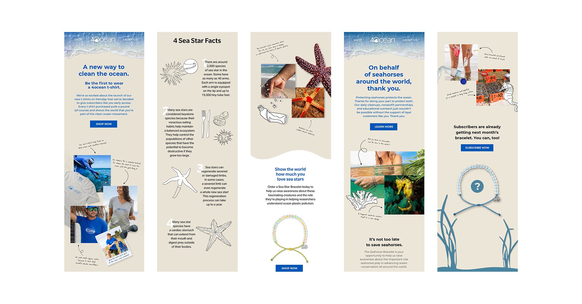 4ocean / Email Education Campaigns