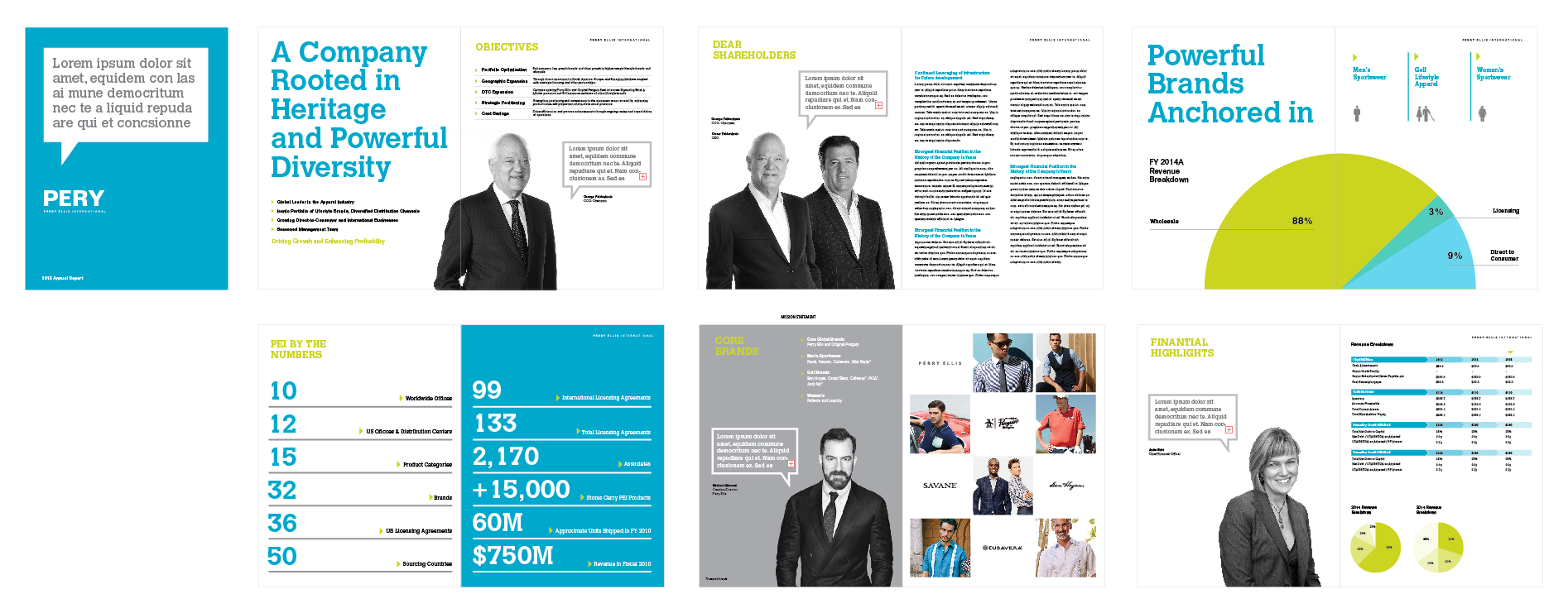 Perry Ellis International / Annual Report Process
