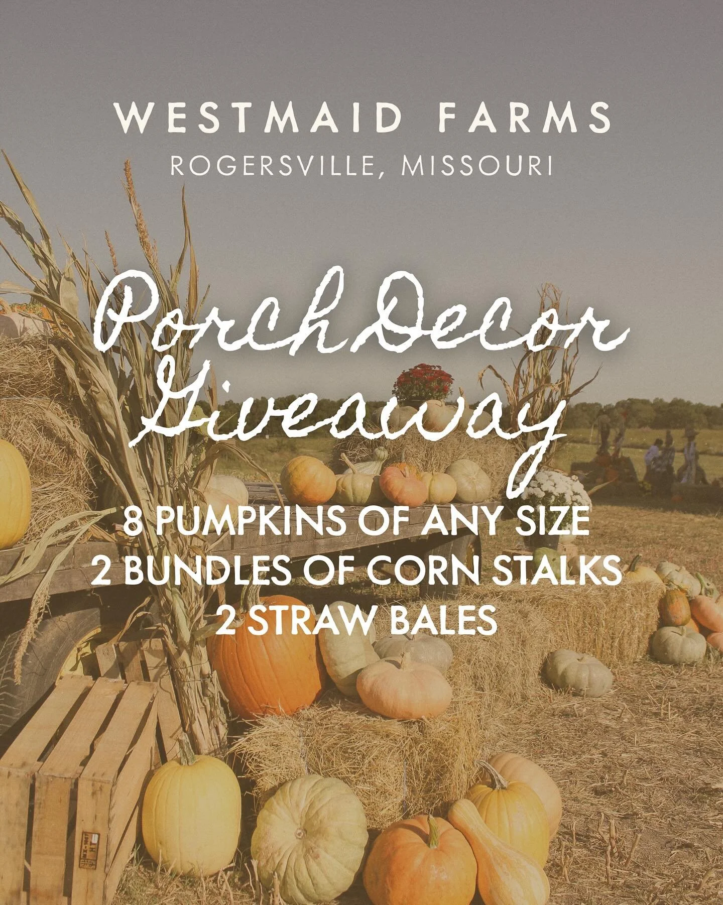 FALL DECOR GIVEAWAY! 🙌🏼🎃
We’re giving one lucky winner everything they need for the perfect fall setup! Win:
🎃 8 pumpkins (any size)
🌽 2 bundles of corn stalks
🌾 2 straw bales
The ultimate combo for a cozy November porch display! 🍂
Ho