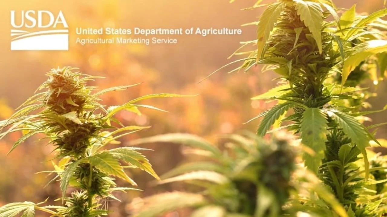 USDA Final Rule on Hemp is Out