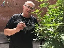 Yes, You Can Smoke Hemp. And Yes, It's Gaining Popularity