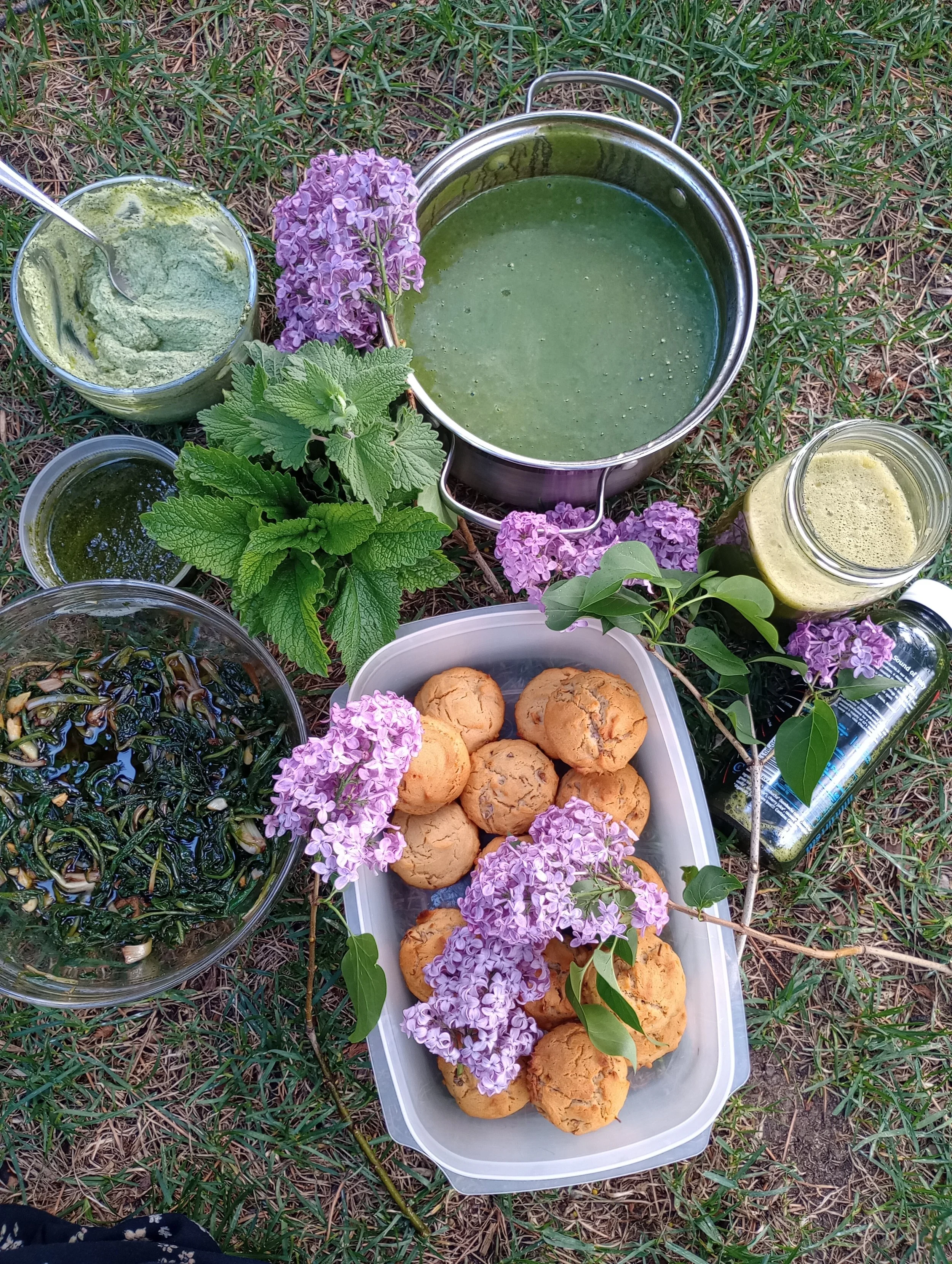 From Earth to Home Series