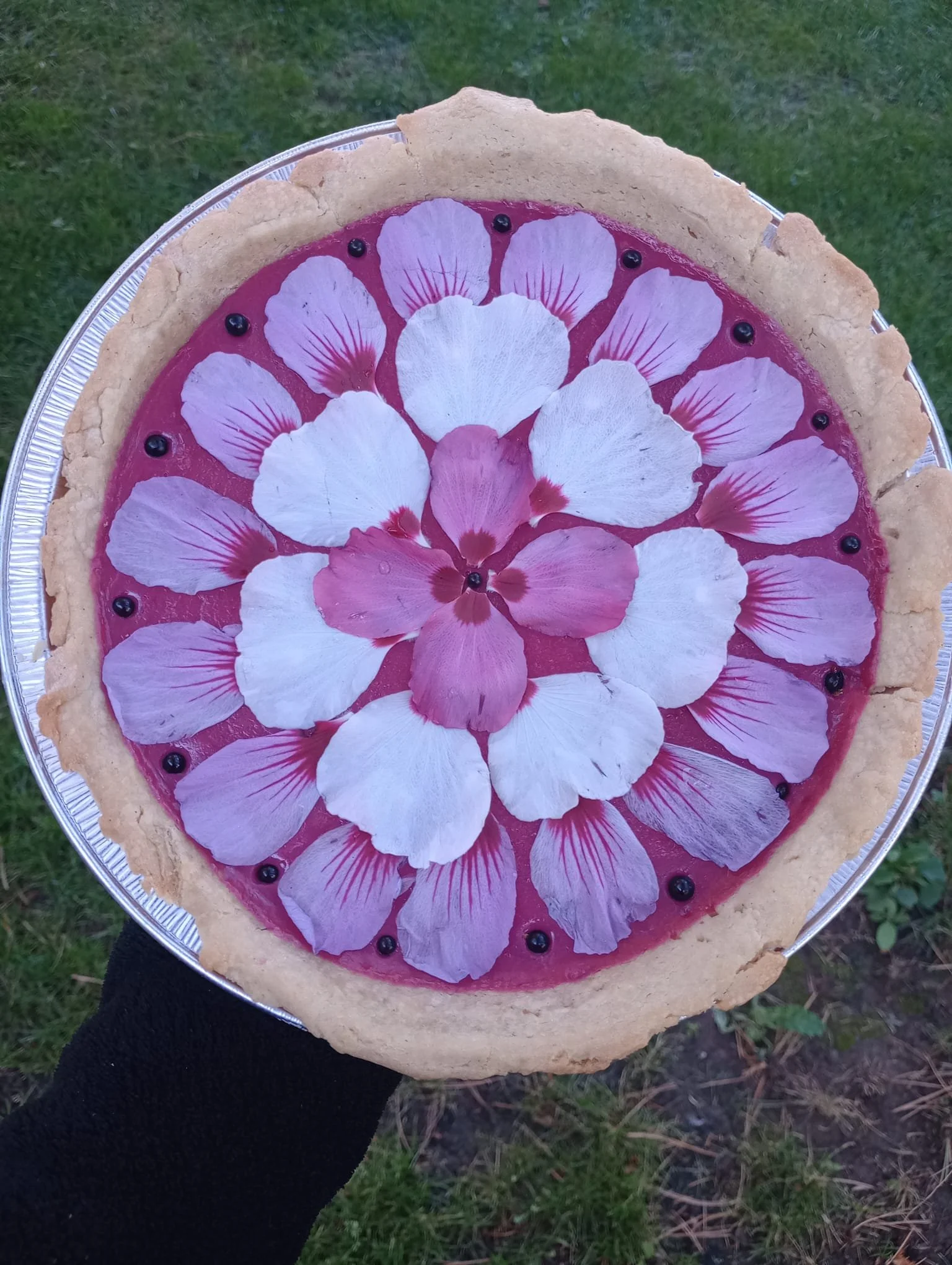 WhatsApp Image 2025-03-30 at 17.23.29_6f801878.jpg