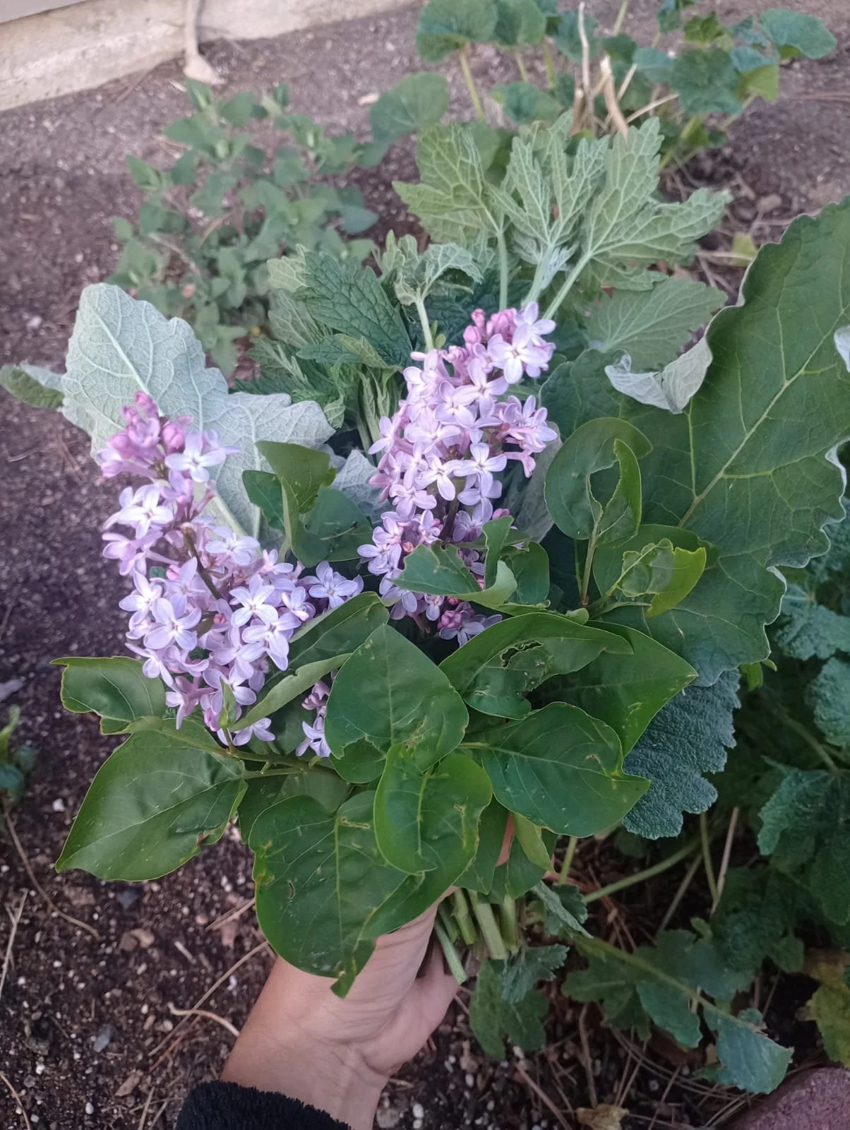 WhatsApp Image 2025-04-16 at 15.34.44_2e5ef590.jpg