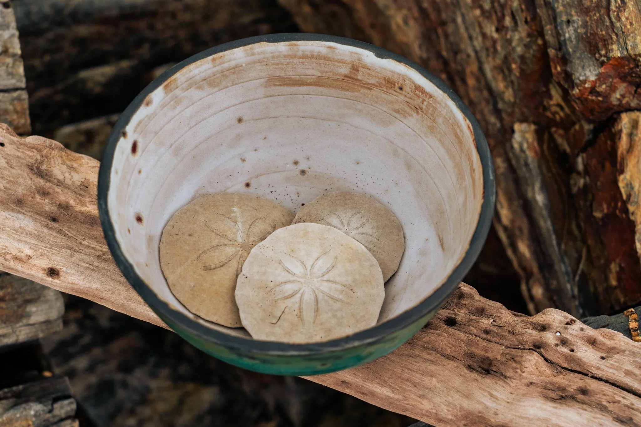 Sandollar Pottery 08_23-17 copy.jpg