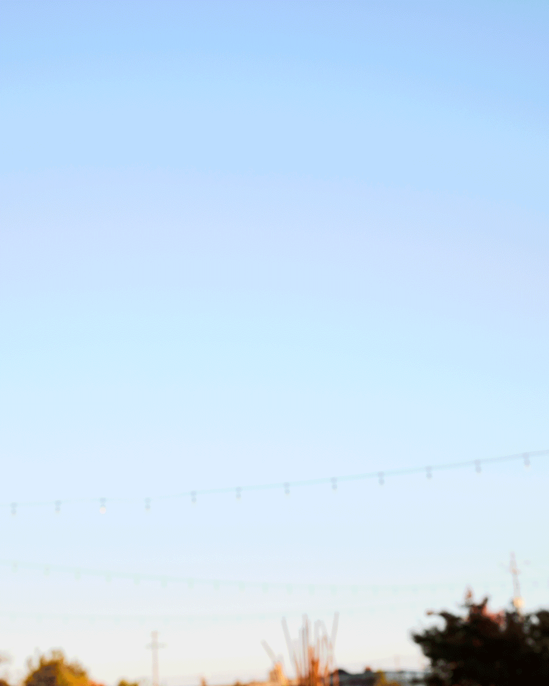 Flighty-1.gif