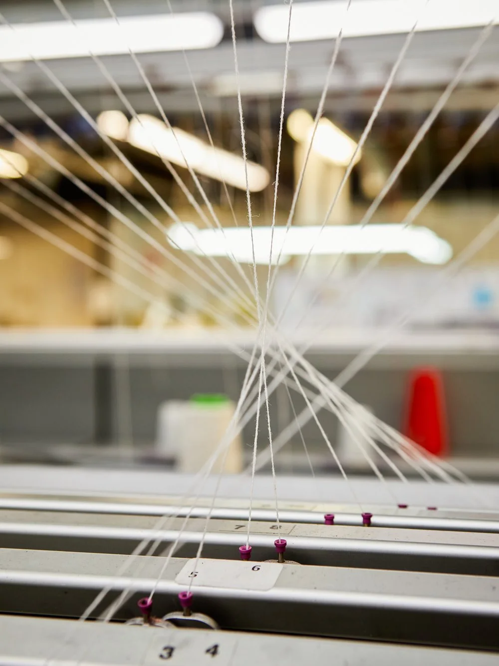 AOC_Albion_823 (1).jpeg