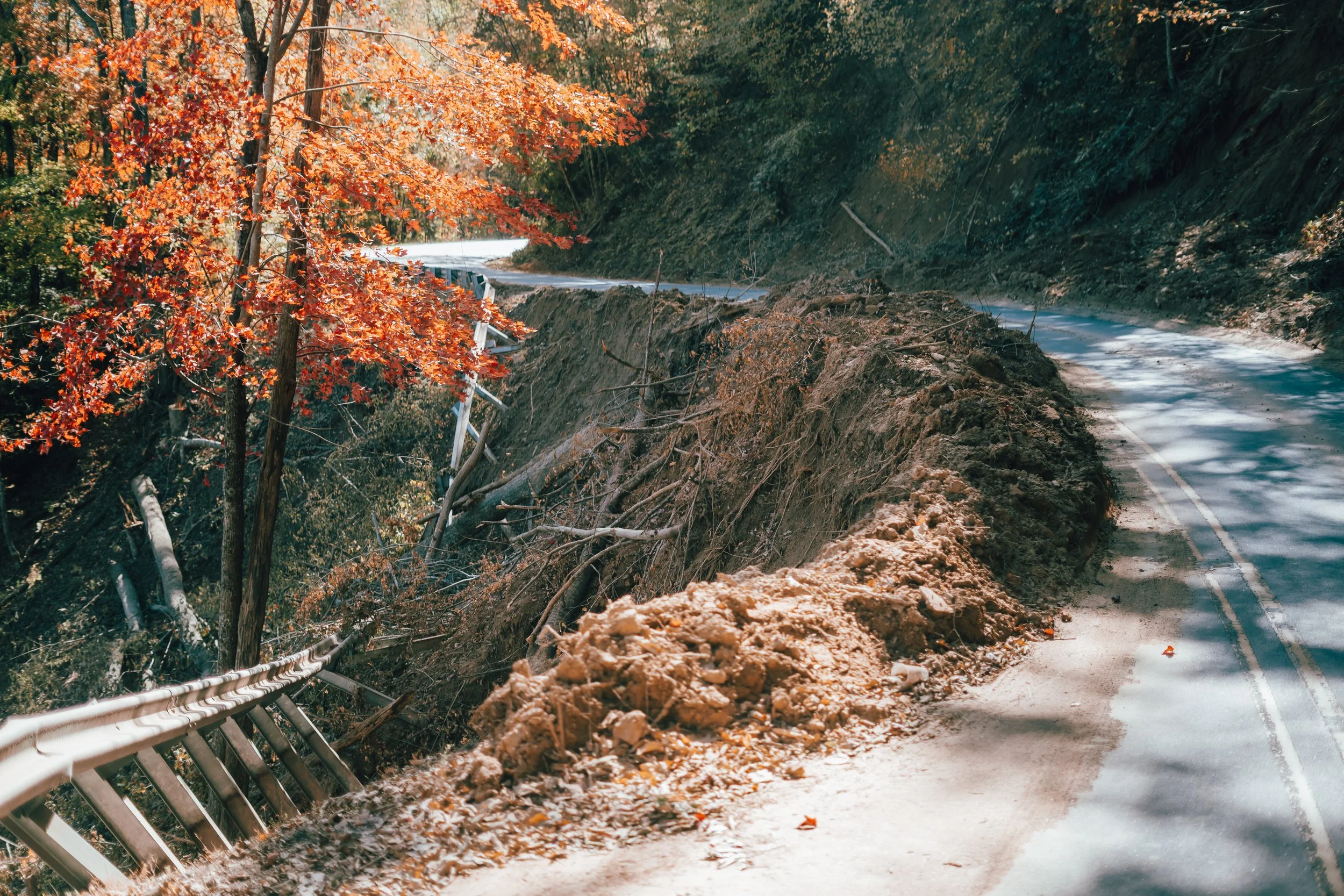 SAC07268.jpg