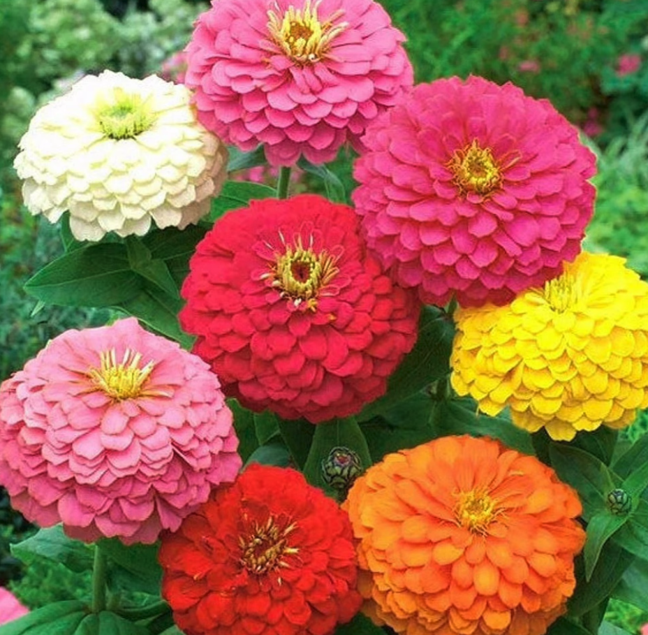 Screen Shot 2026-04-11 at 7.13.53 AM.png