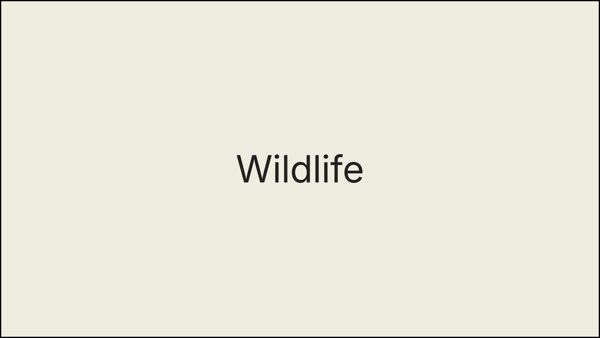 Wildlife.png