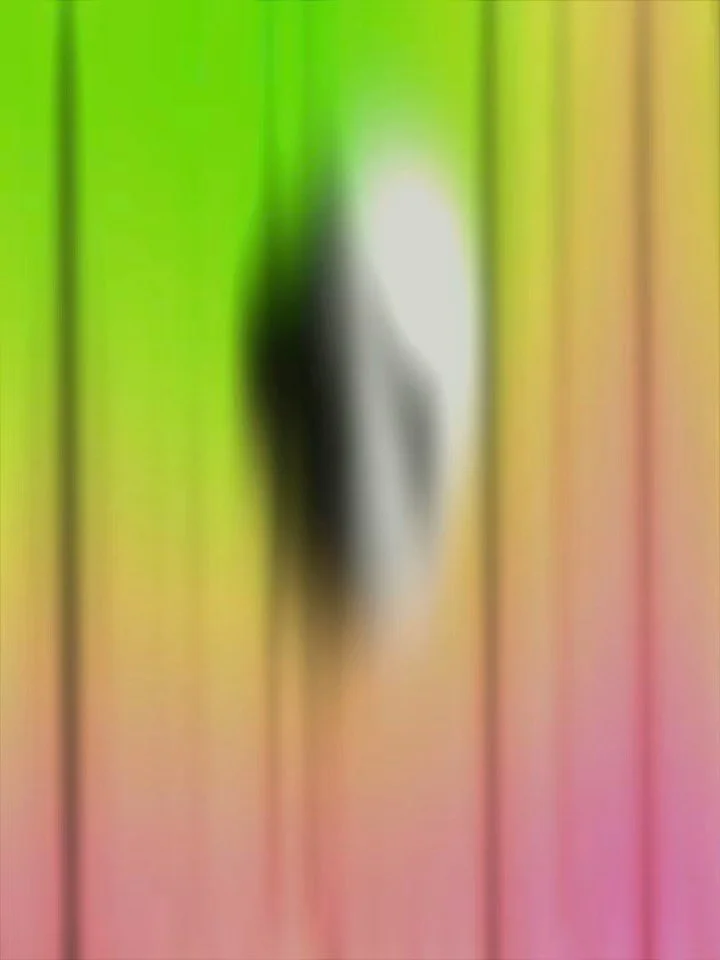 4.17.26 🗓️

The wages of sin is a good time!!!!

Two new tracks. One hell of a time.

Hit the link in our bio to pre-save &ldquo;Trouble/Good Head&rdquo; now.🤘 #poppunk #exvangelical #purityculture #newmusic #sin