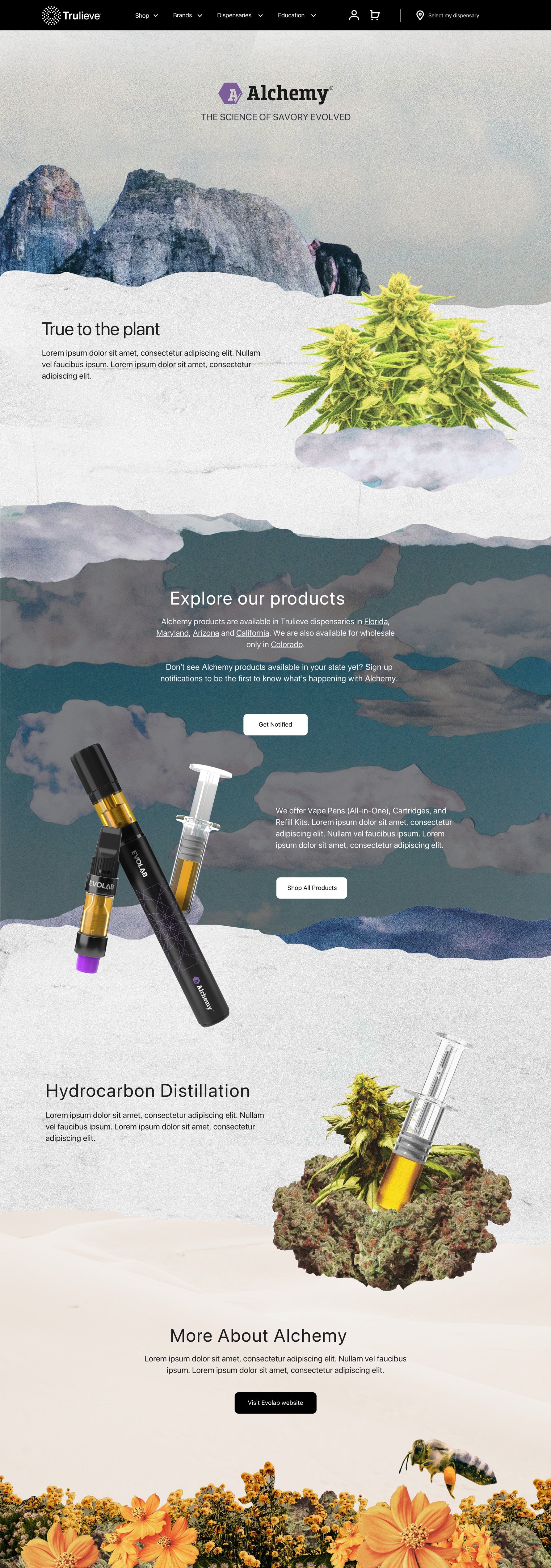 Brand-Page-Alchemy.jpg